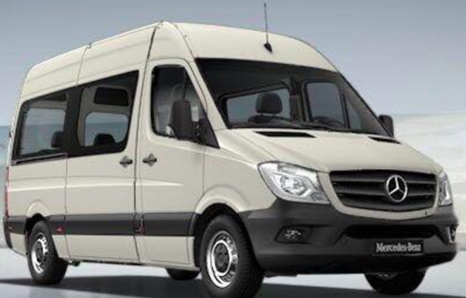 Roben la furgoneta de transport de tres nens que van en cadira de rodes