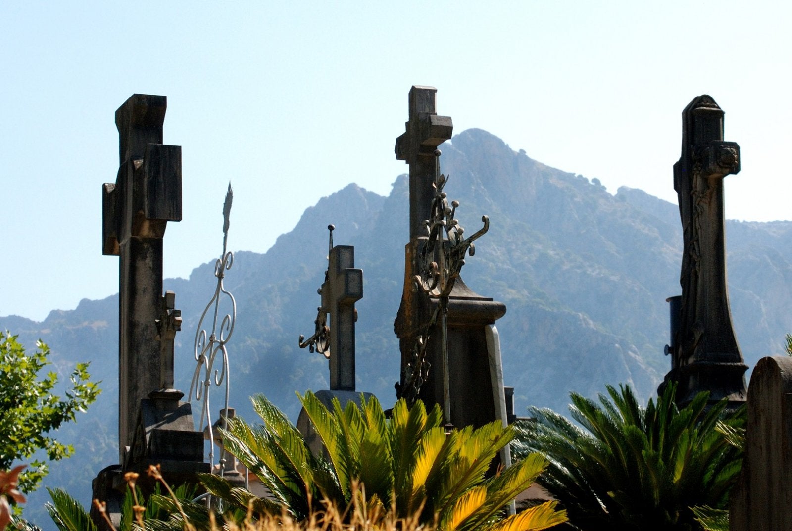 Detall del cementiri de Terrassa