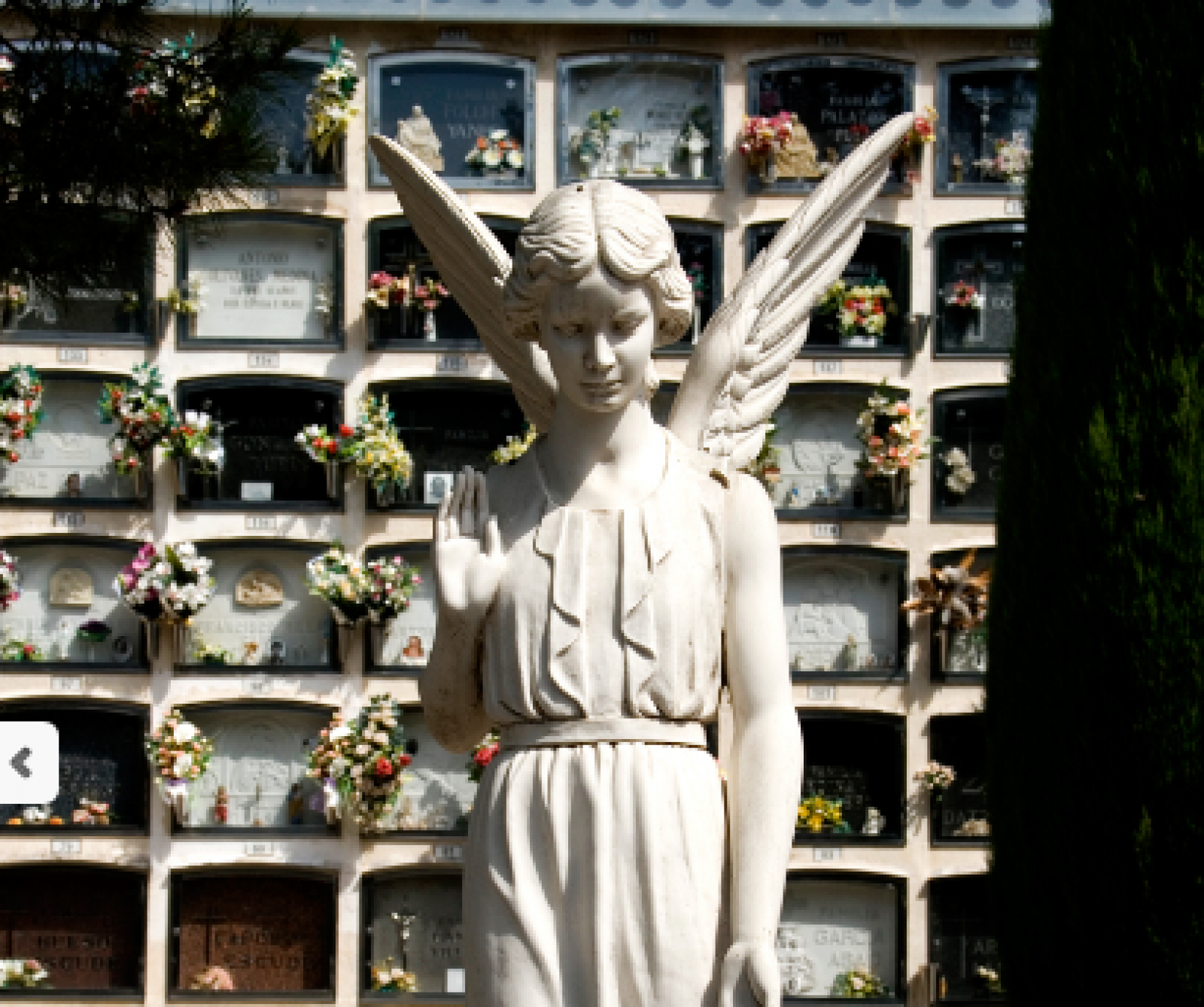 Cementiri de Terrassa