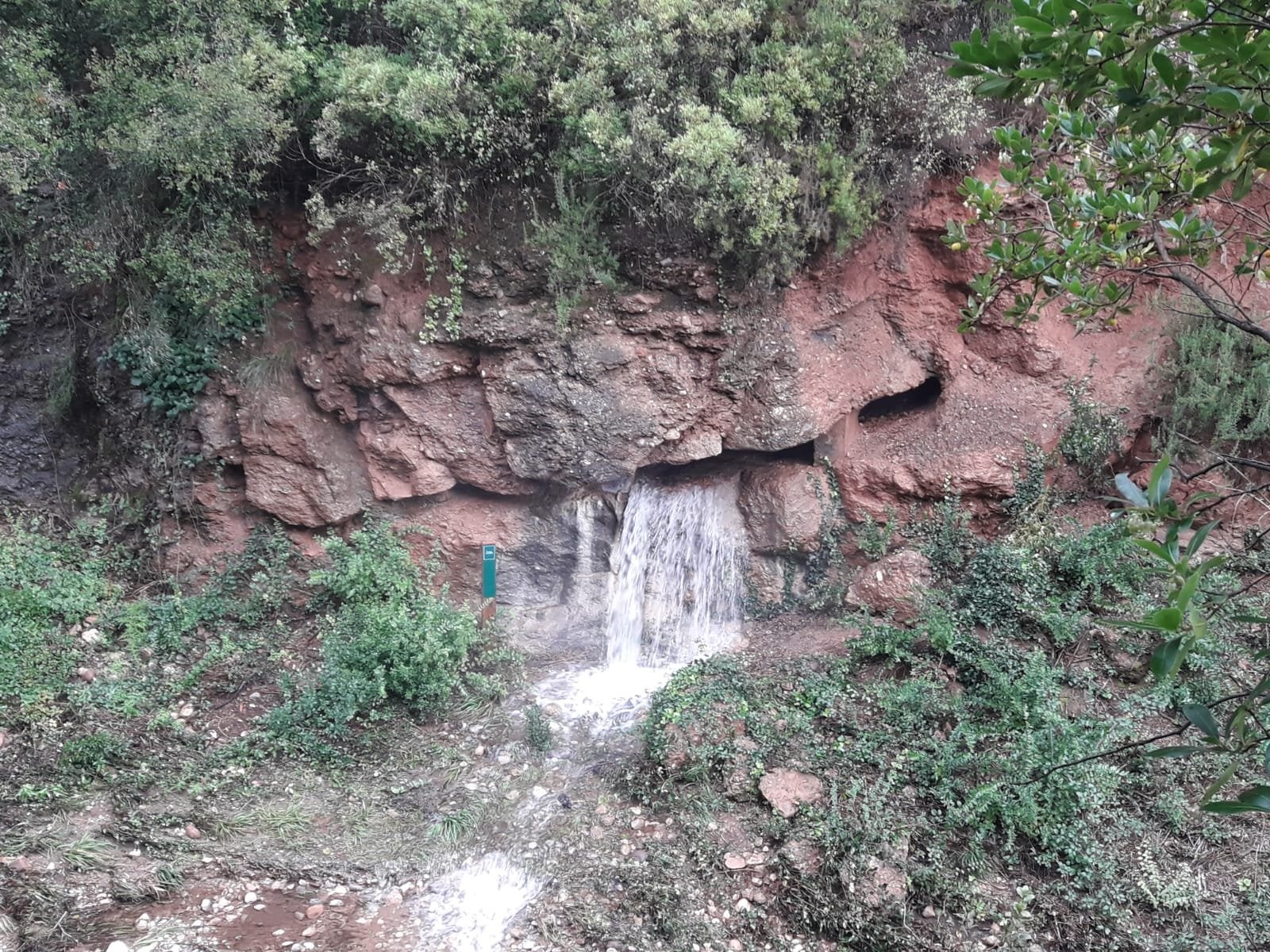 Els Caus cada cop ragen més