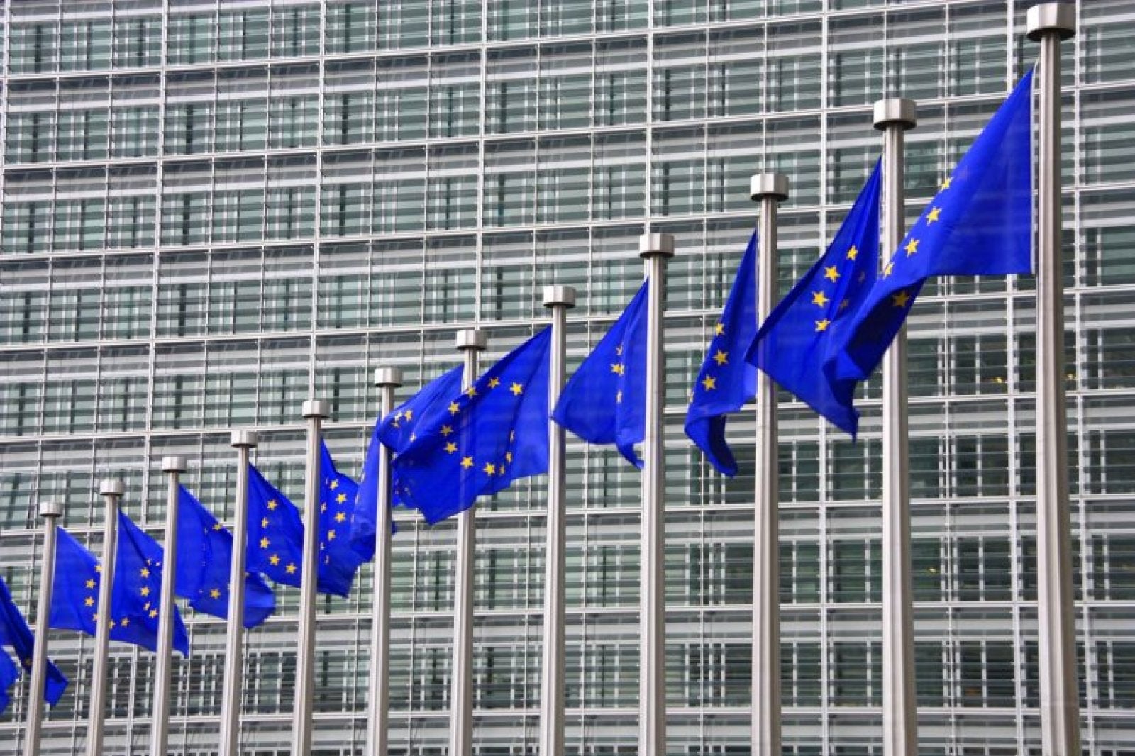 El Parlament europeu celebra eleccions el proper 9 de juny de 2024