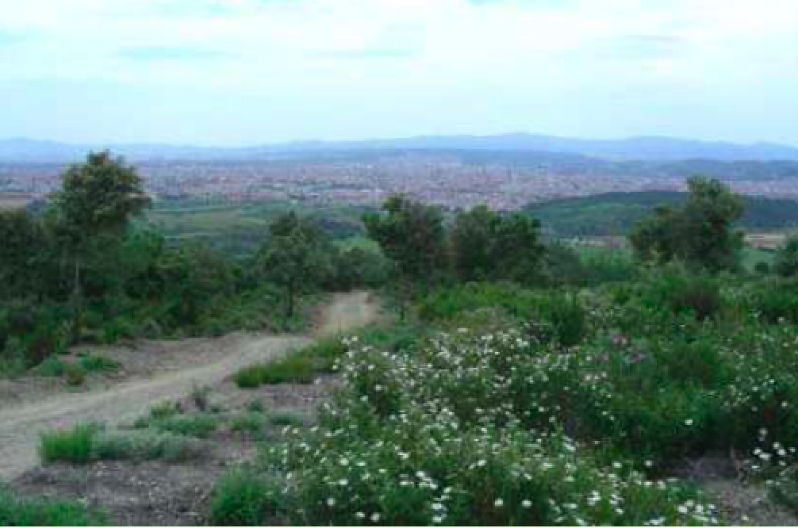 L'Estepar de la Carena del Troncó