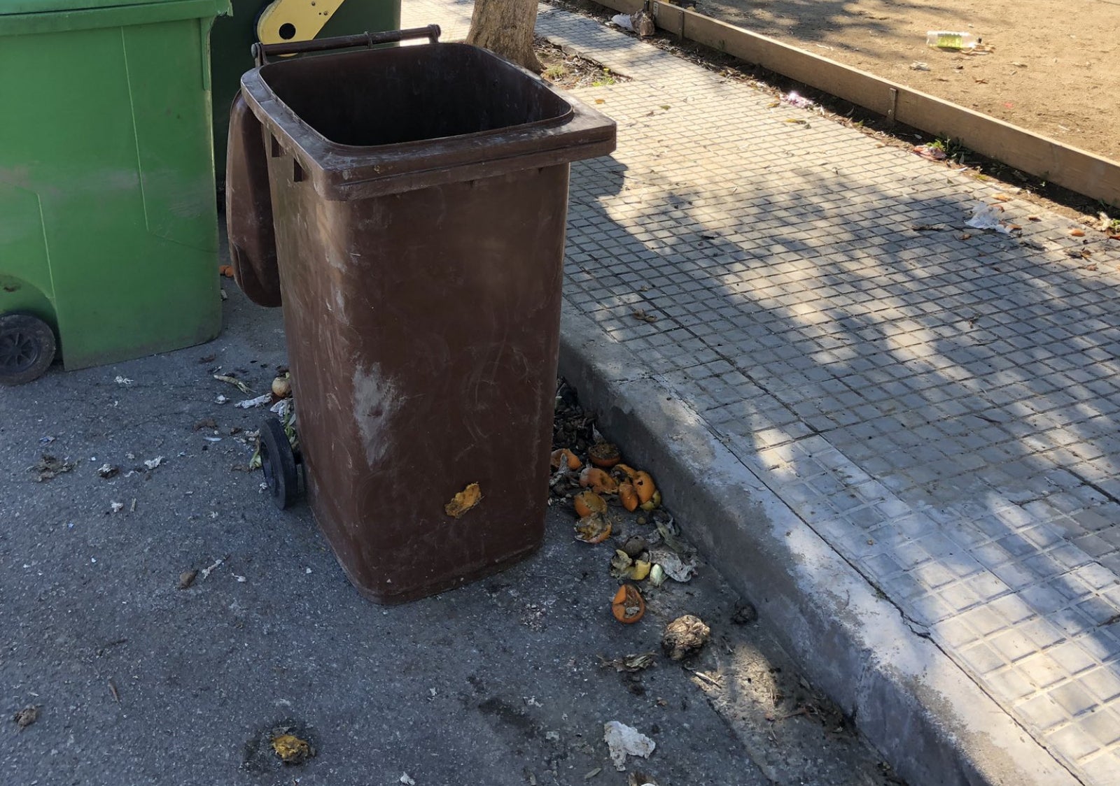 Contenidors amb la tapa aixecada i tot el menjar per terra, fruit de l'atac dels senglars