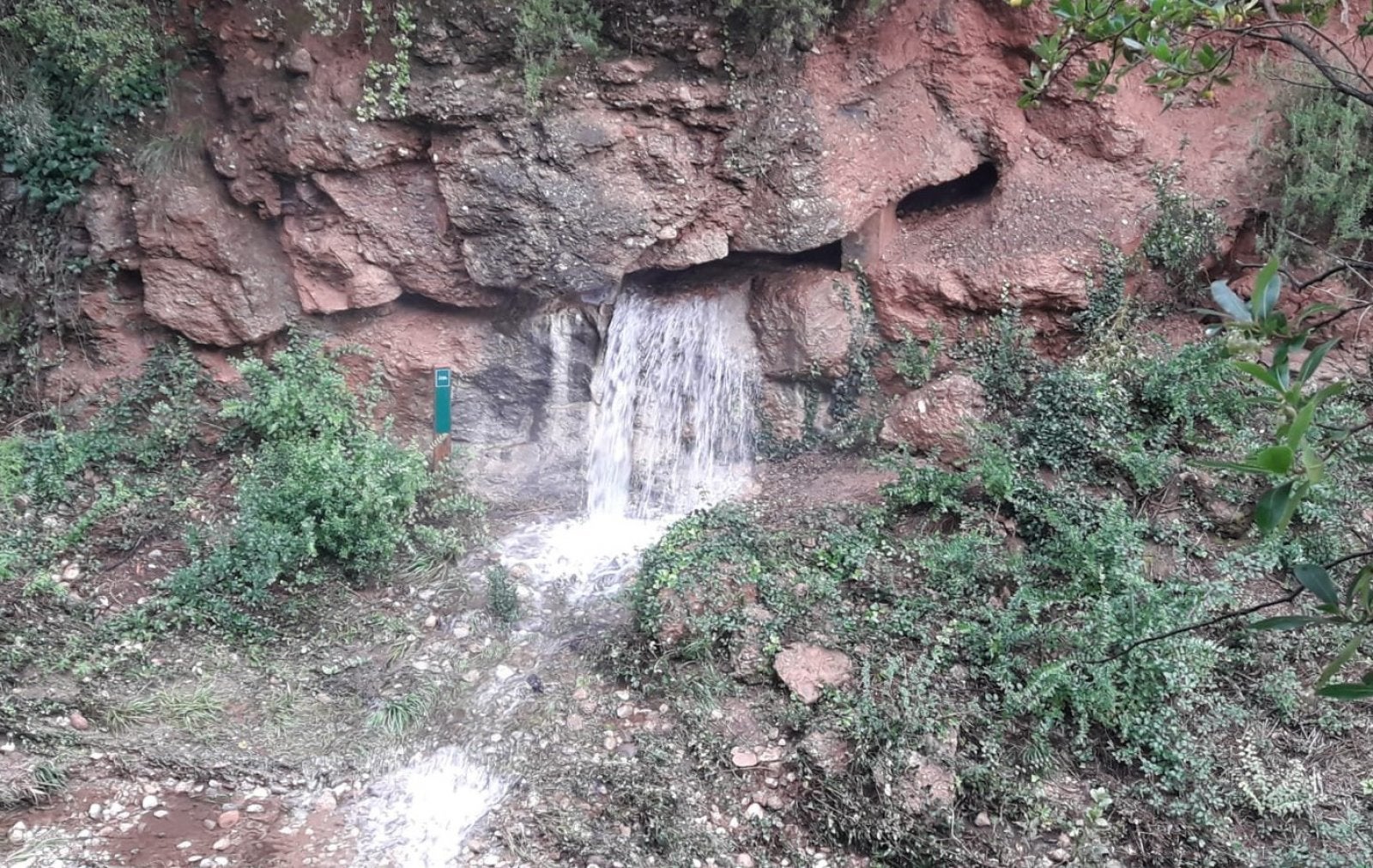 Els Caus cada cop ragen més