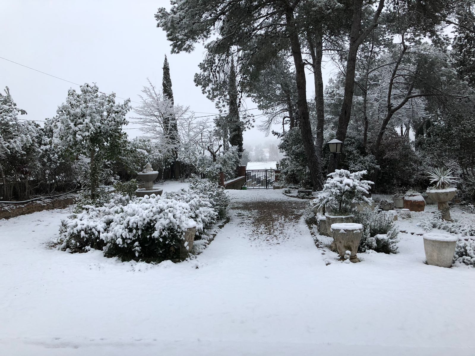 Vacarisses es tenyeix de blanc