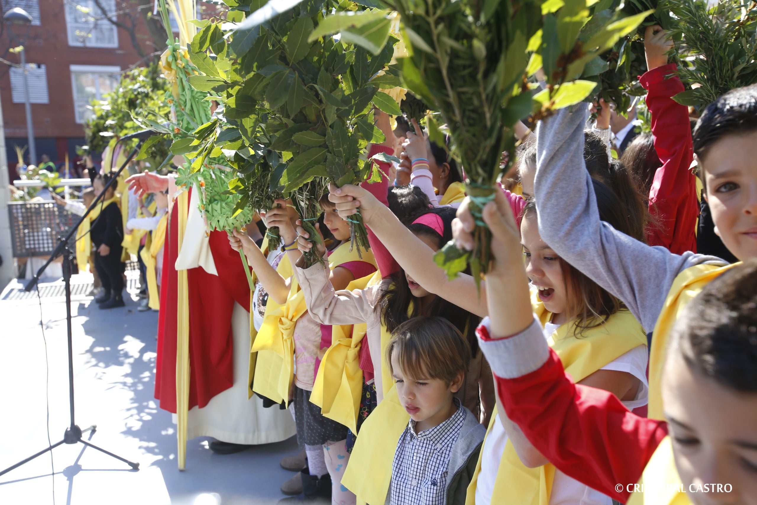 Processó de la Borriquita a Les Arenes i La Grípia de Terrassa