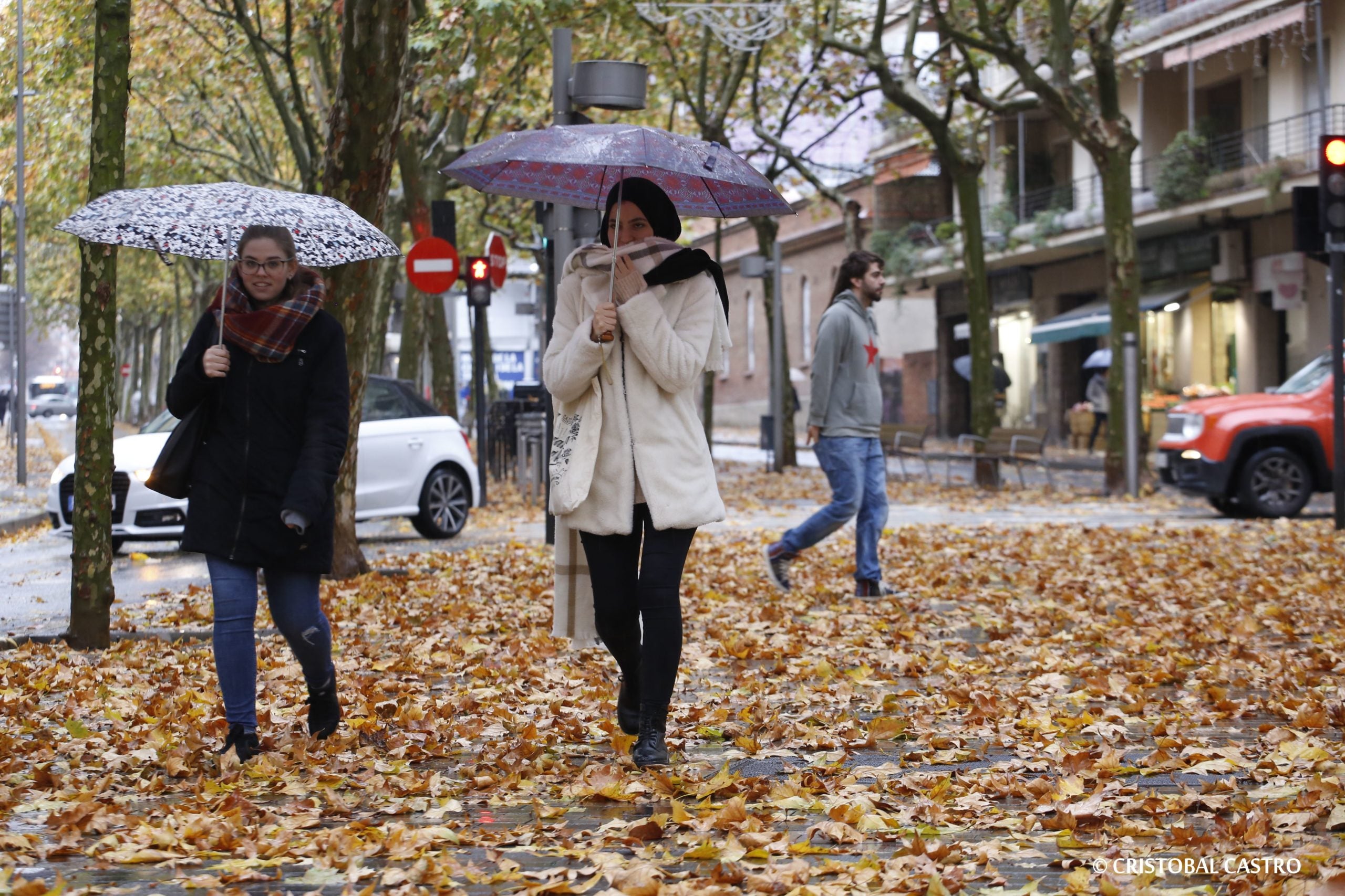 La pluja i el vent deixen catifes de fulles a Terrassa