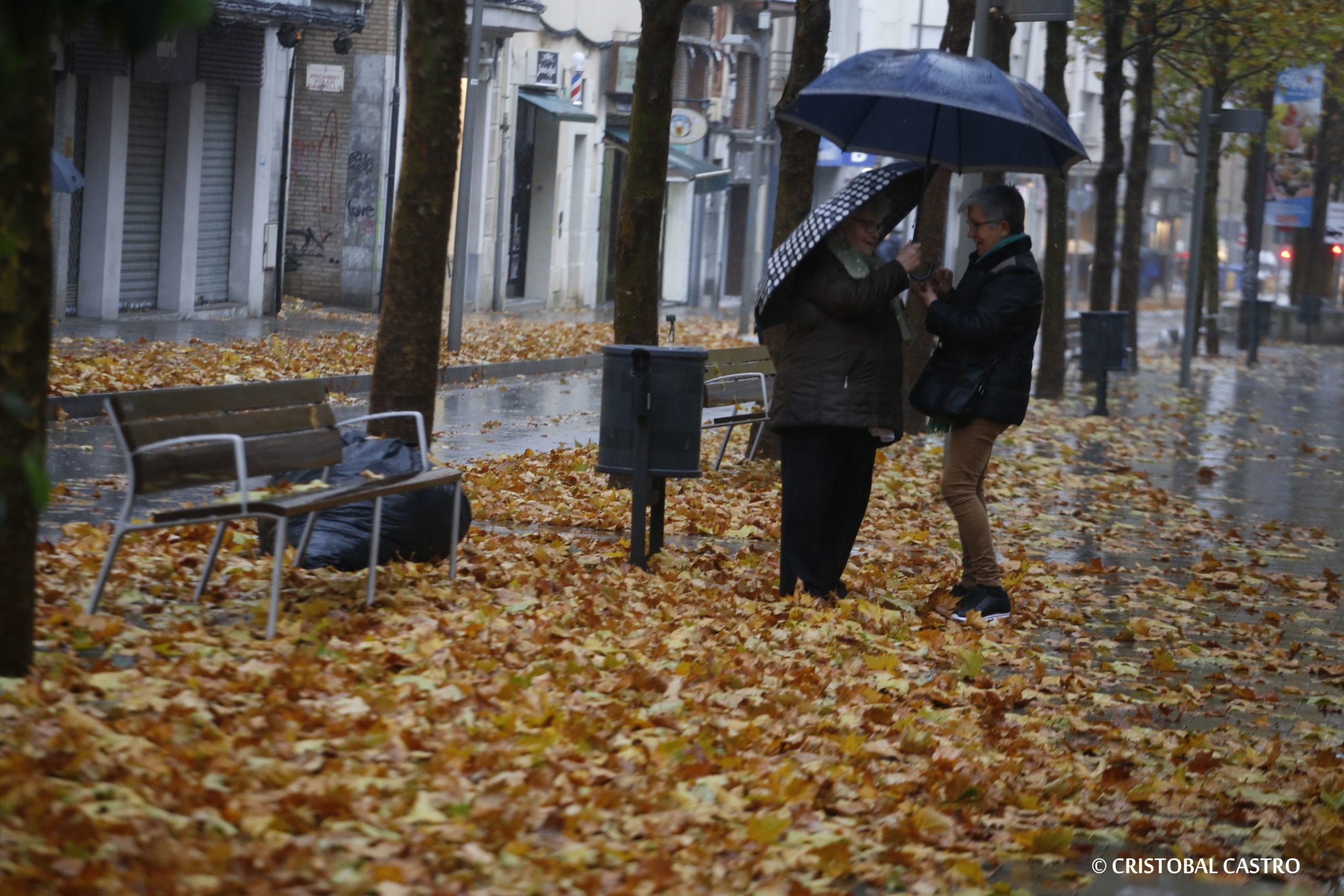 La pluja i el vent deixen catifes de fulles a Terrassa