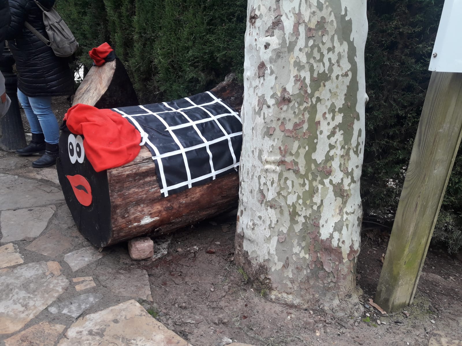 Els tions de Mura 2018