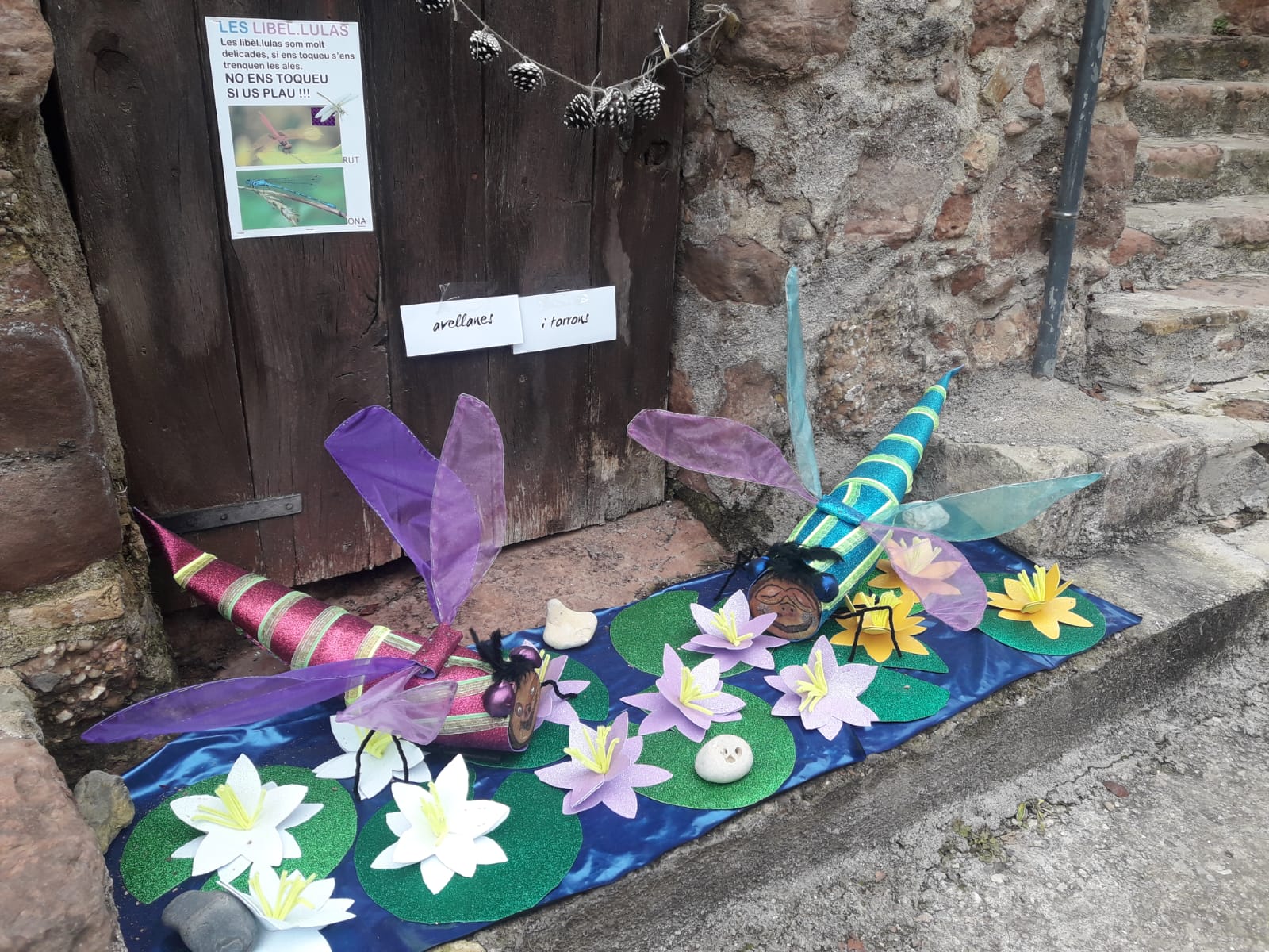 Els tions de Mura 2018