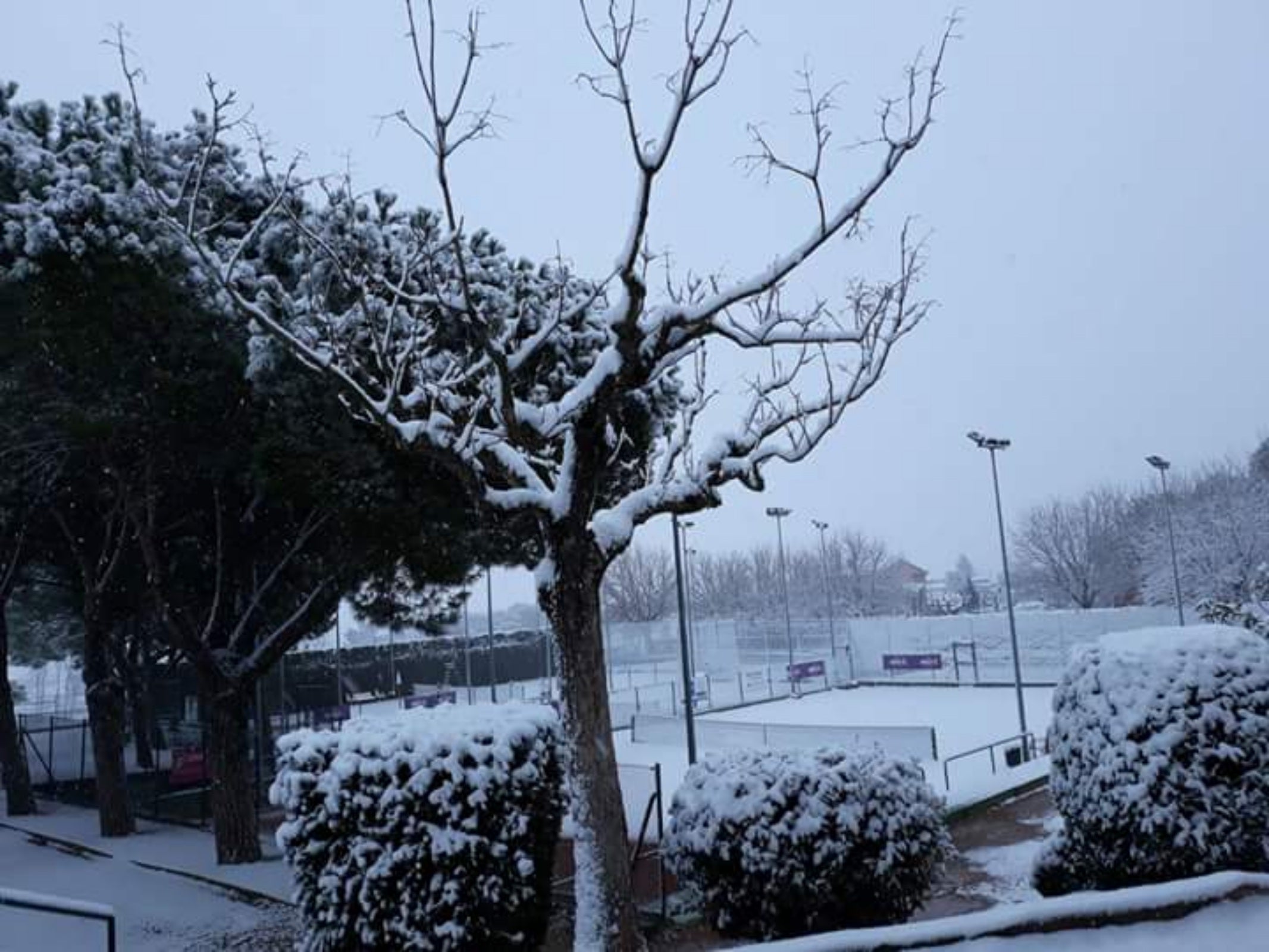 Vacarisses es tenyeix de blanc