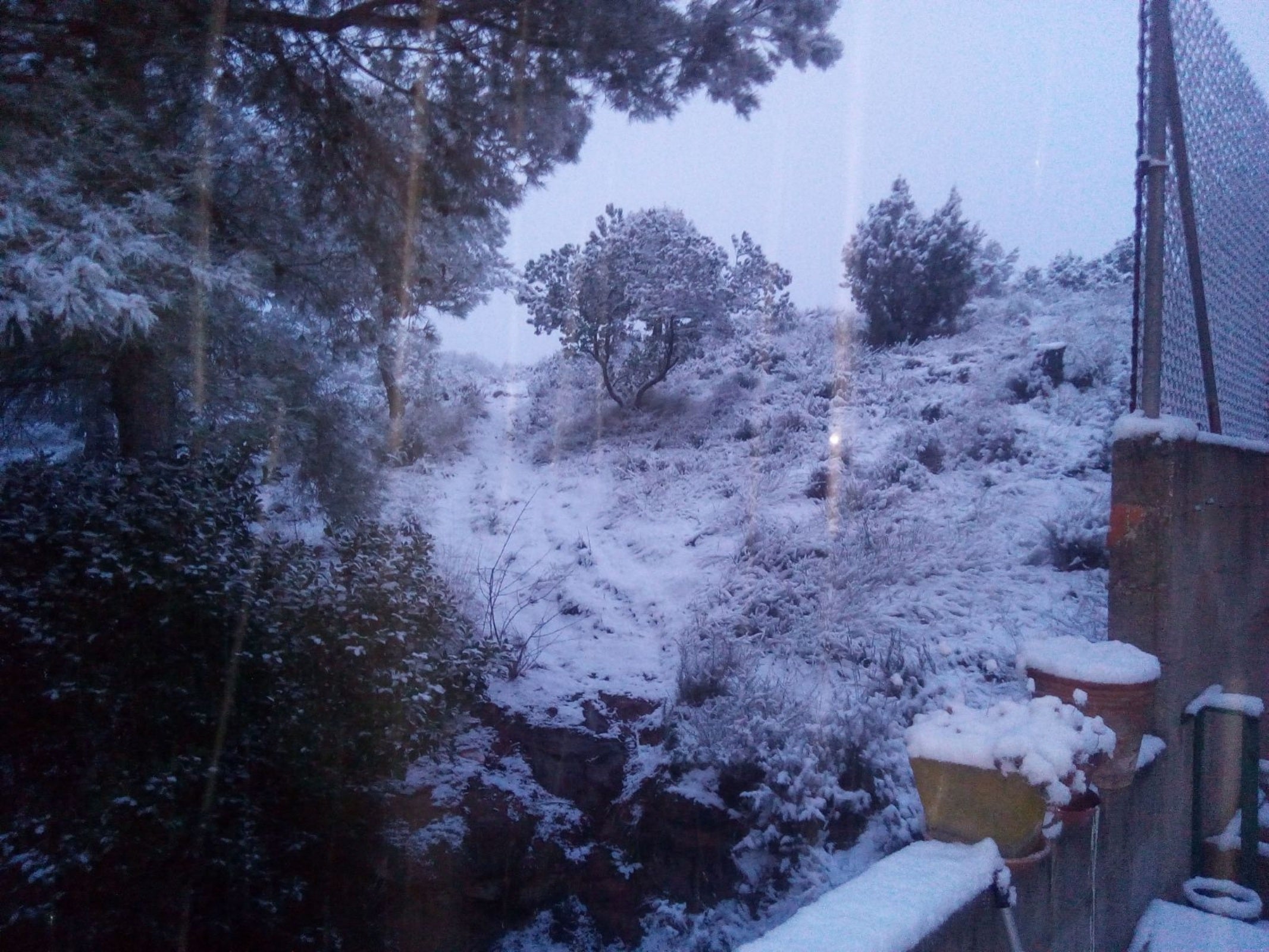 Vacarisses es tenyeix de blanc