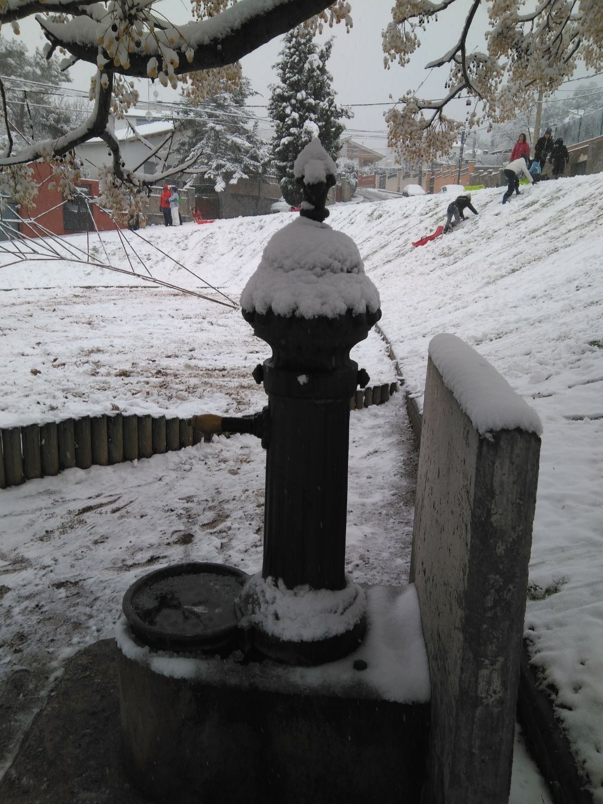 Vacarisses es tenyeix de blanc