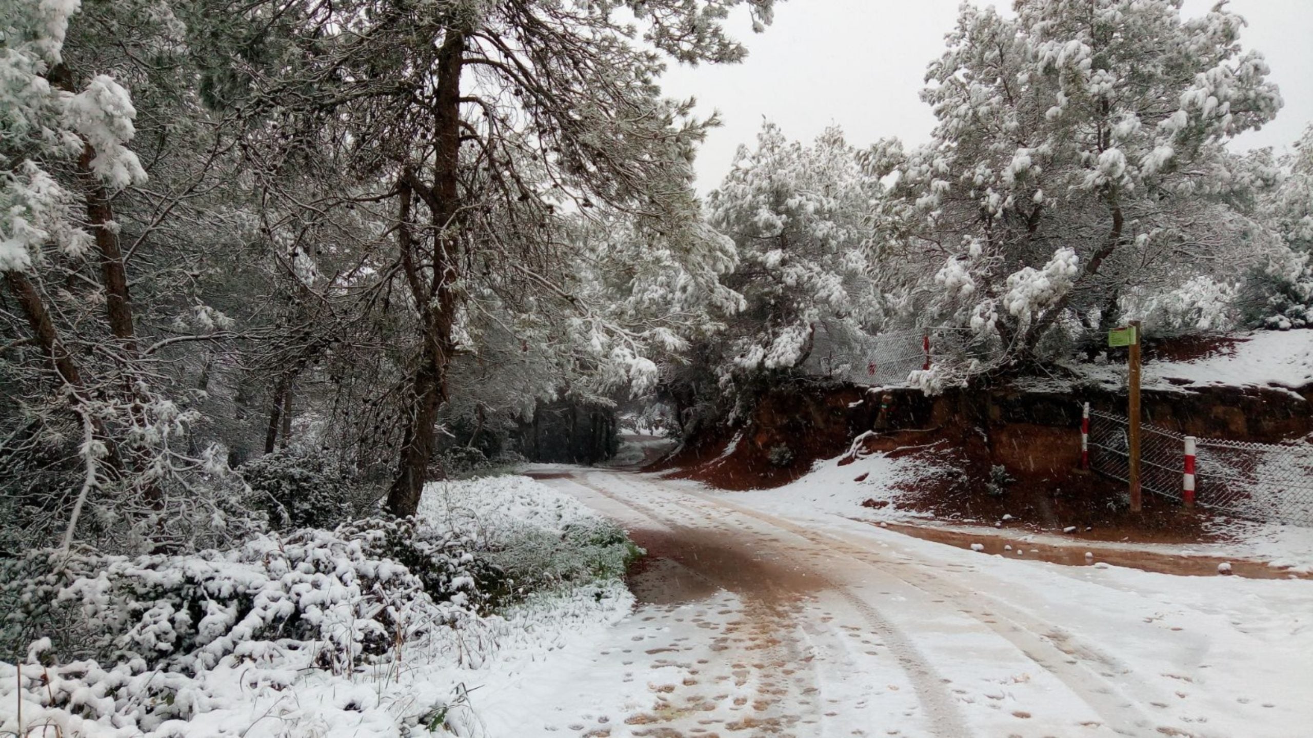 Vacarisses es tenyeix de blanc