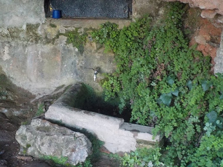 Font amb el seu dipòsit interior