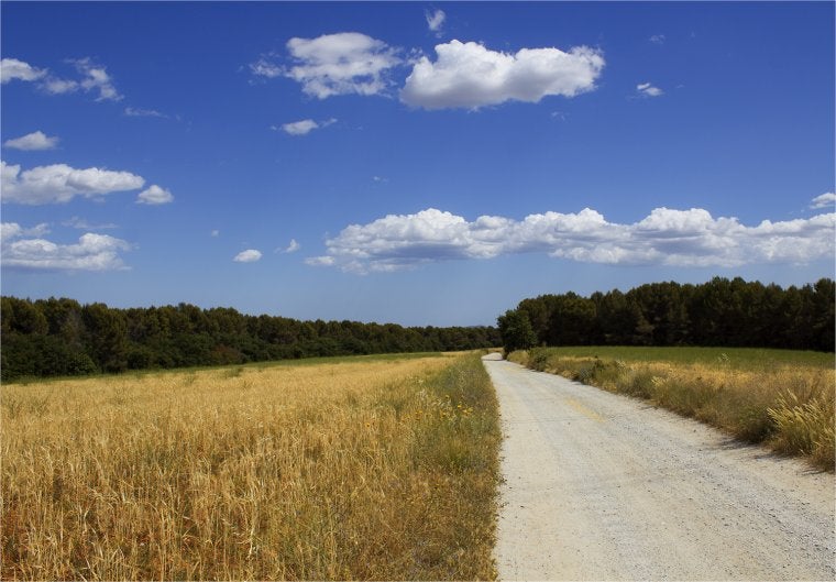 La via verda del Camí dels Monjos al seu pas per Terrassa | Marta Maseras