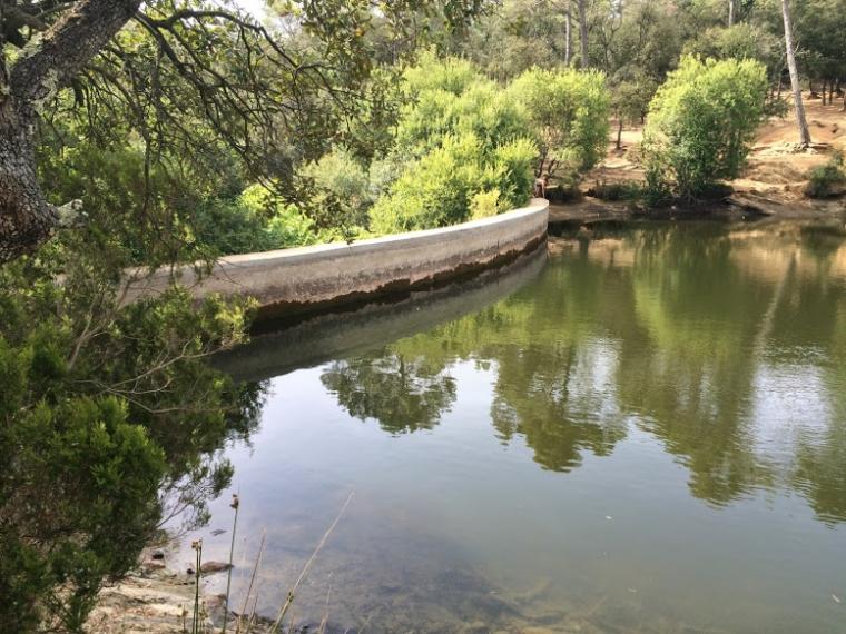 Llac Petit de Terrassa | Santi Rius