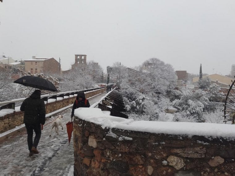 Pont de Sant Pere nevat | Carles De Castro