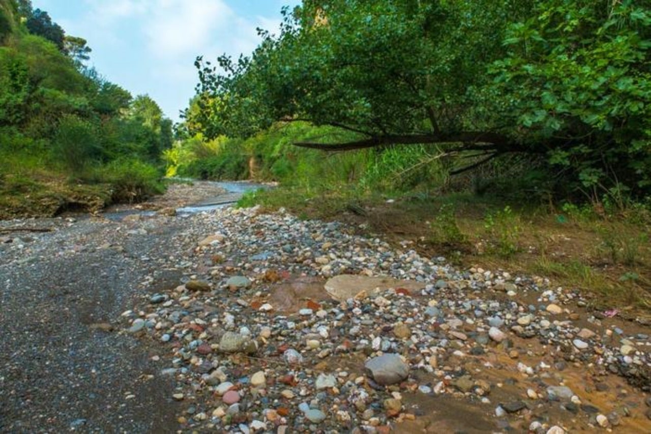Riera de Gaià | Natura Local