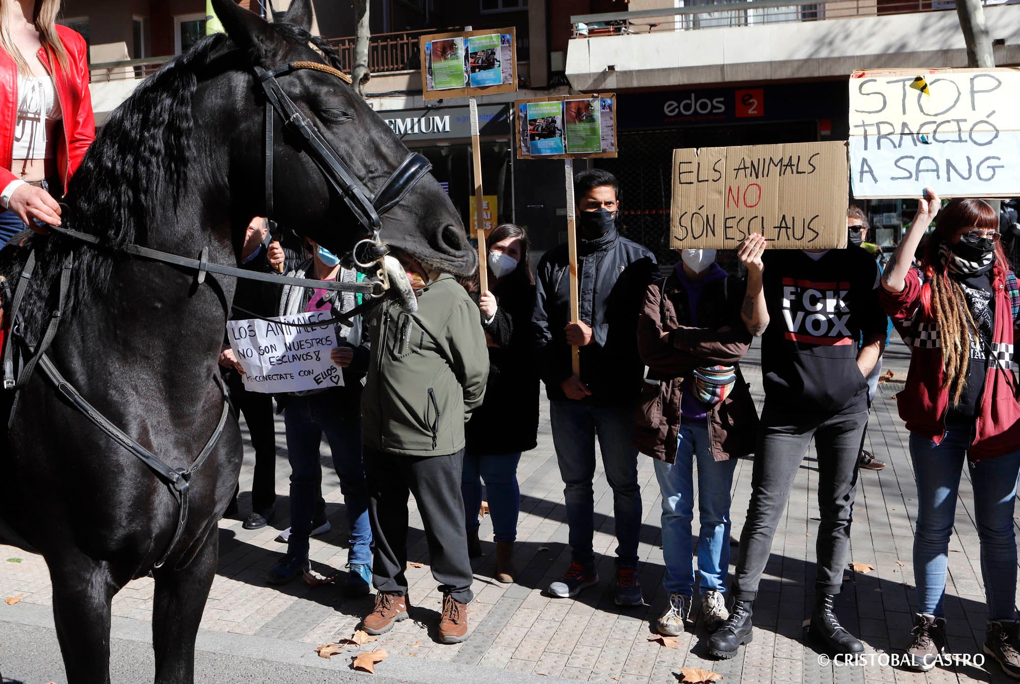 La festa dels Tres Tombs a Terrassa/Cristóbal Castro