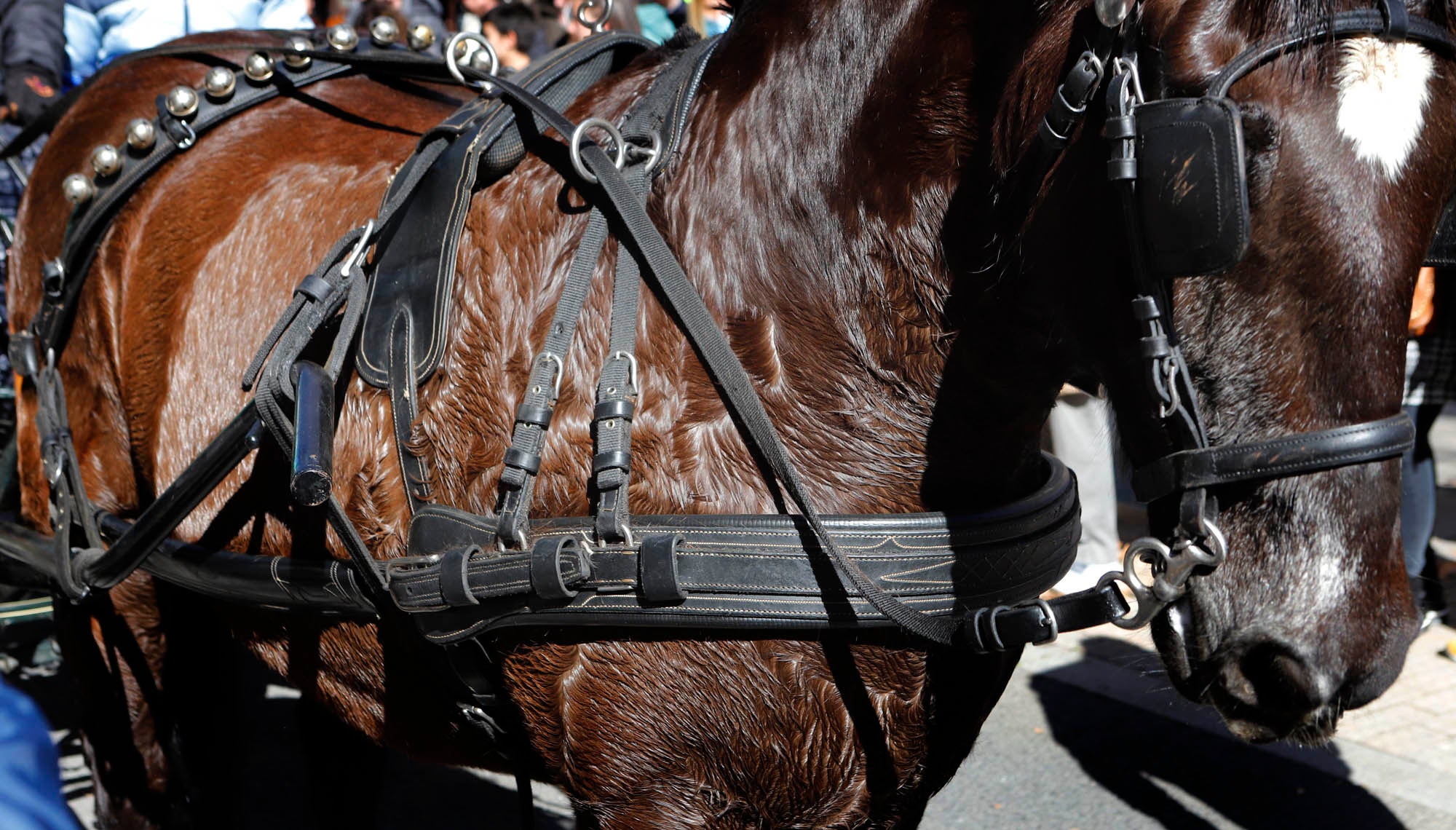 La festa dels Tres Tombs a Terrassa/Cristóbal Castro
