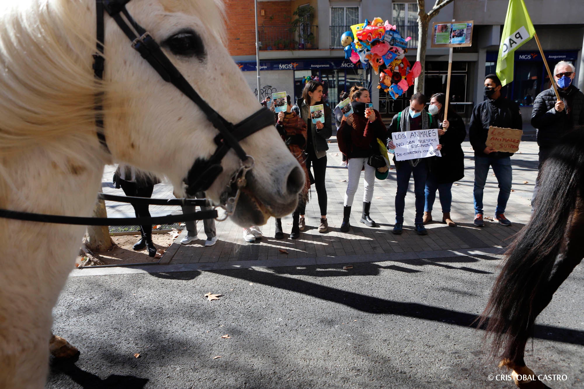 La festa dels Tres Tombs a Terrassa/Cristóbal Castro