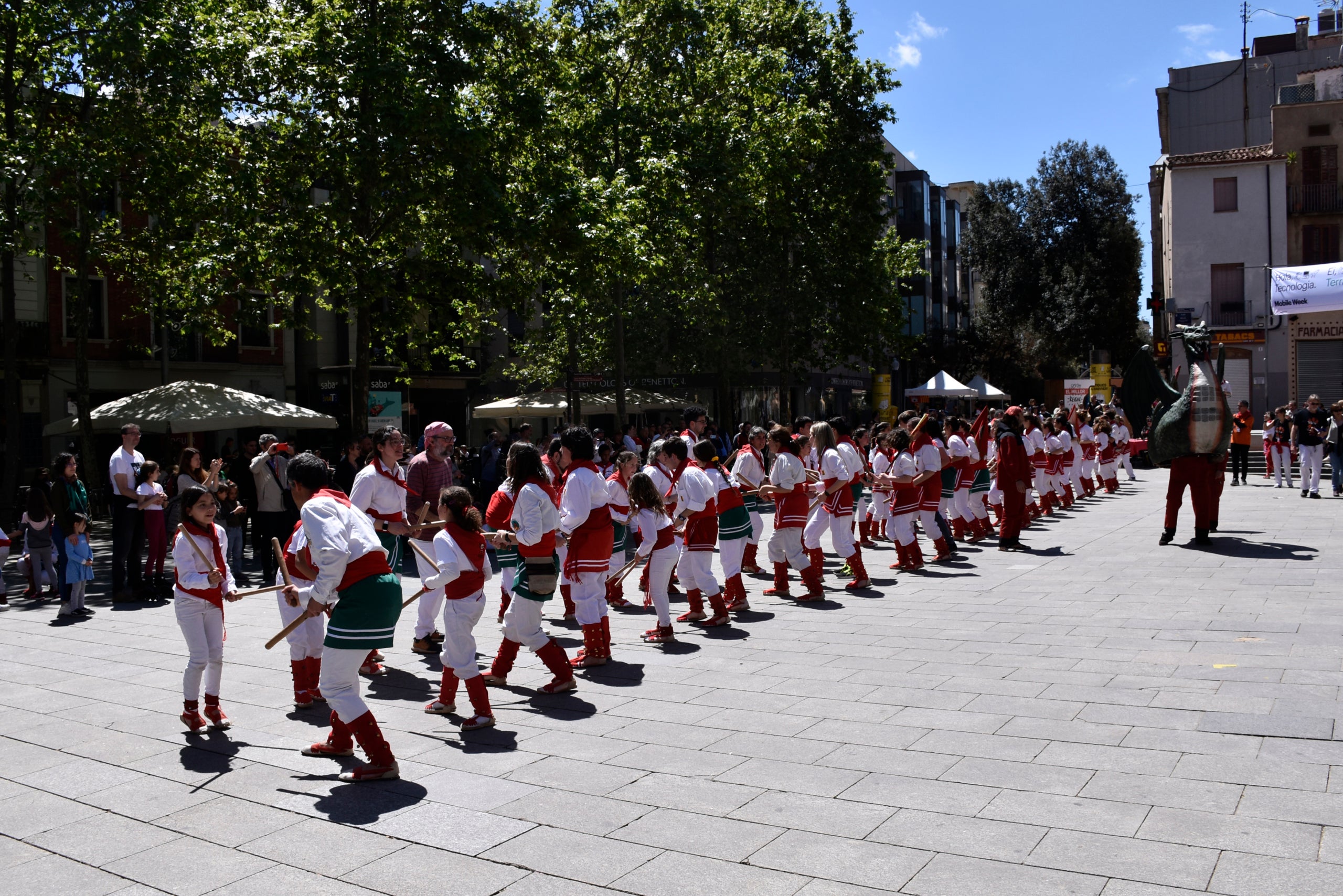 XLI Diada dels Bastoners de Terrassa