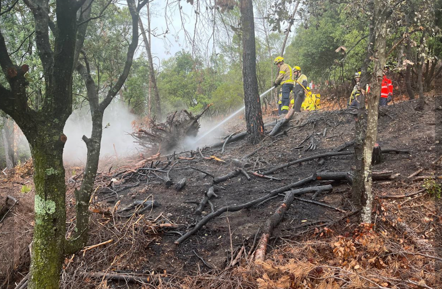 Incendi de vegetació a Matadepera/Bombers