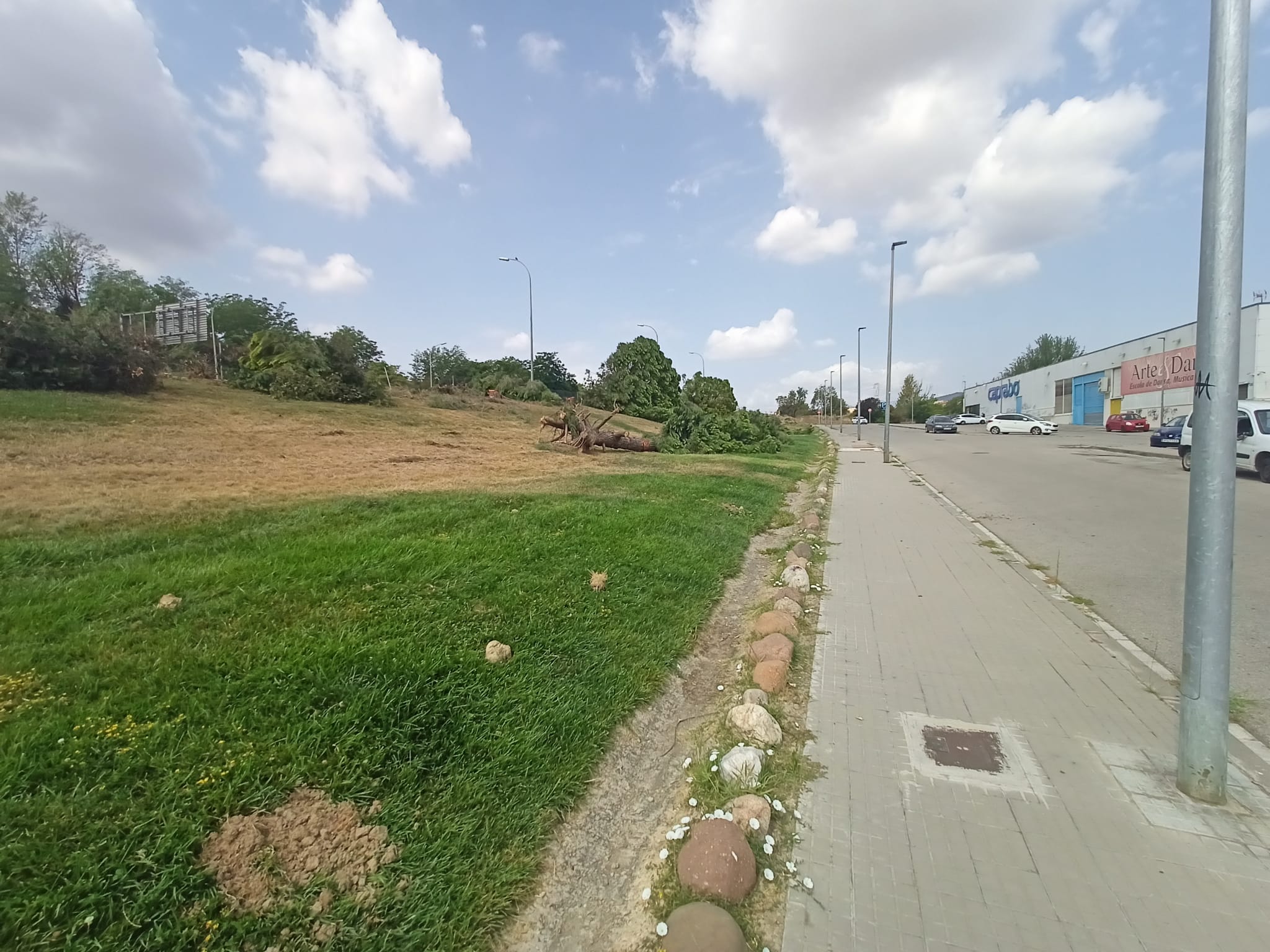 Gran tala d'arbres a Terrassa per les obres a l'autopista/Joan Manel Oller