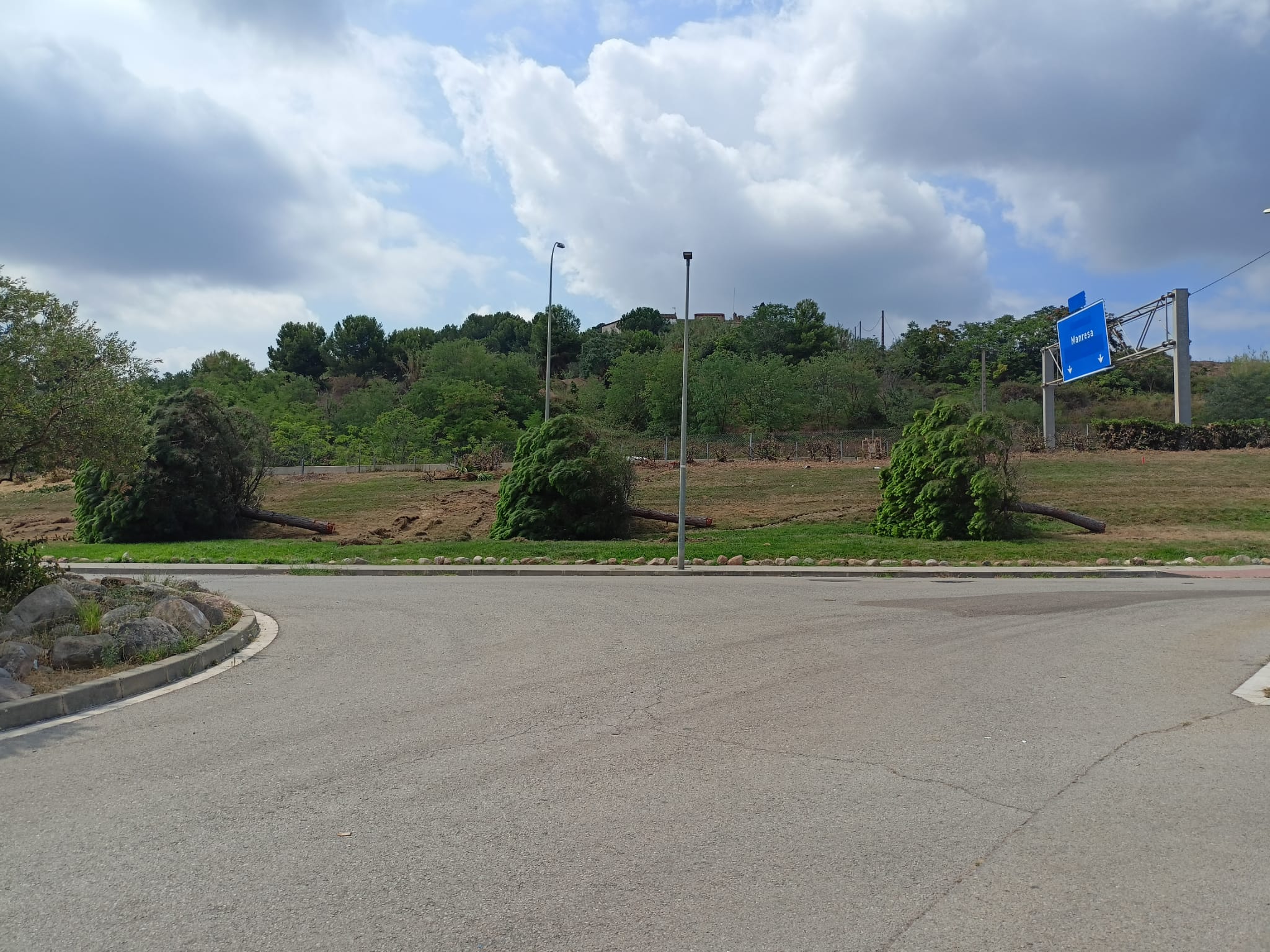 Gran tala d'arbres a Terrassa per les obres a l'autopista/Joan Manel Oller