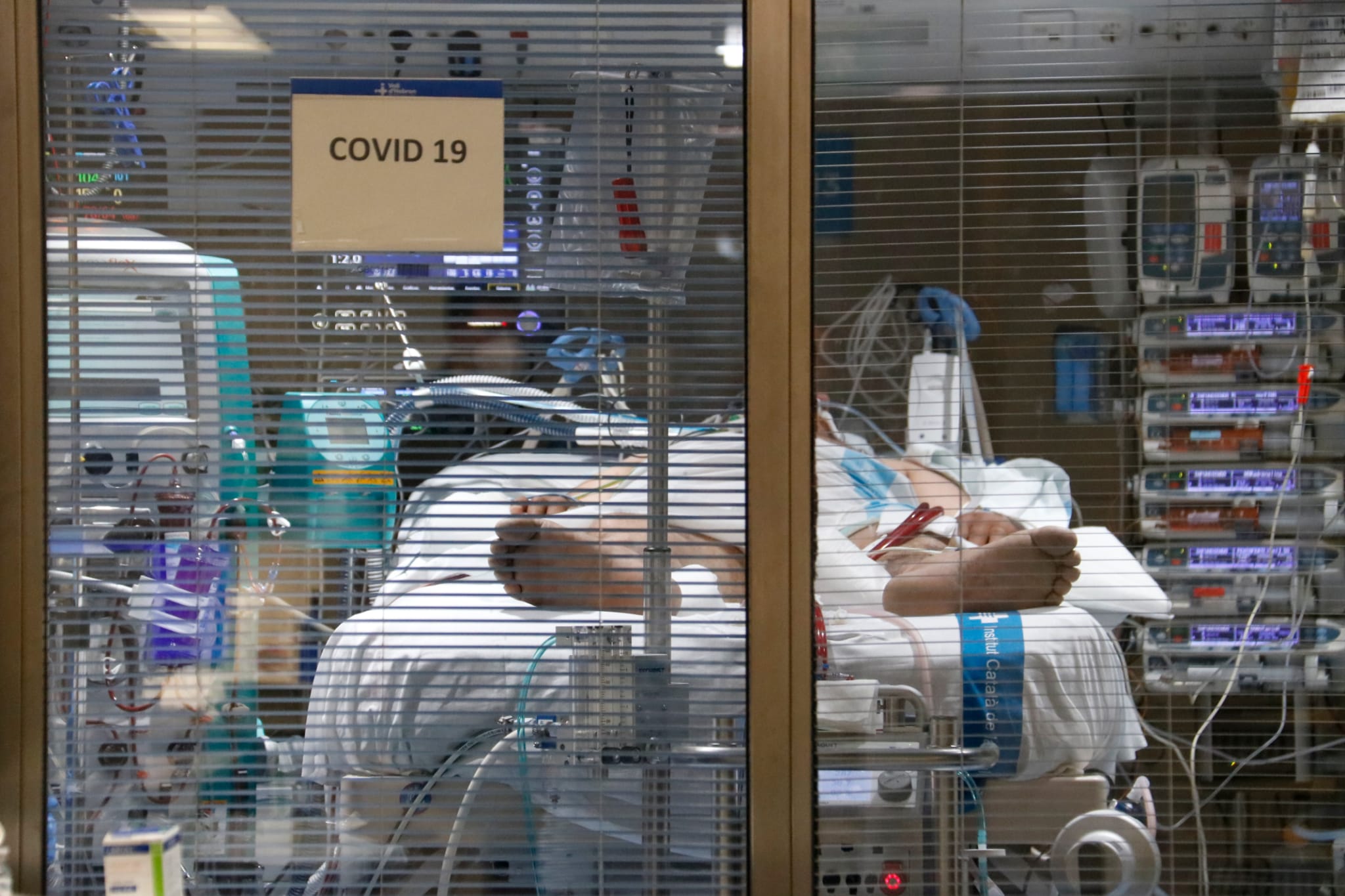 Pacient de Covid-19 ingressat | ACN