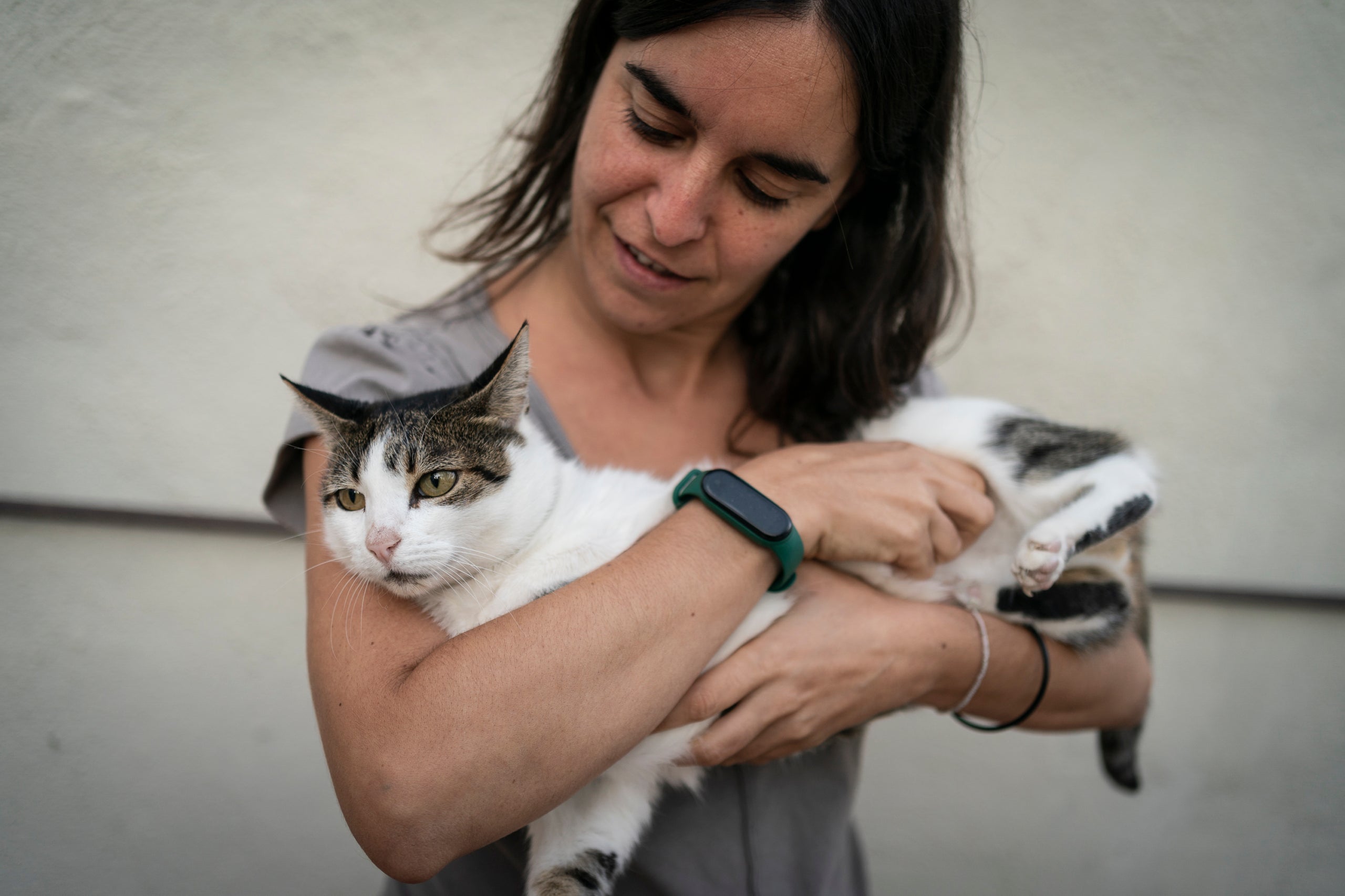 Terrassa compta amb gairebé 20.000 animals de companyia censats entre gossos, gats i fures, el que es tradueix en cada una de cada onze persones és propietària d'un animal, aproximadament. Cada persona està obligada a censar a l’ajuntament per poder fer un recompte i control de la població d’animals. Els gossos son els animals domèstics que més abunden a Terrassa (un 72,5%), sent la majoria de raça indefinida. Els gats representen un 27,3%, mentre que les fures un 0,2%.