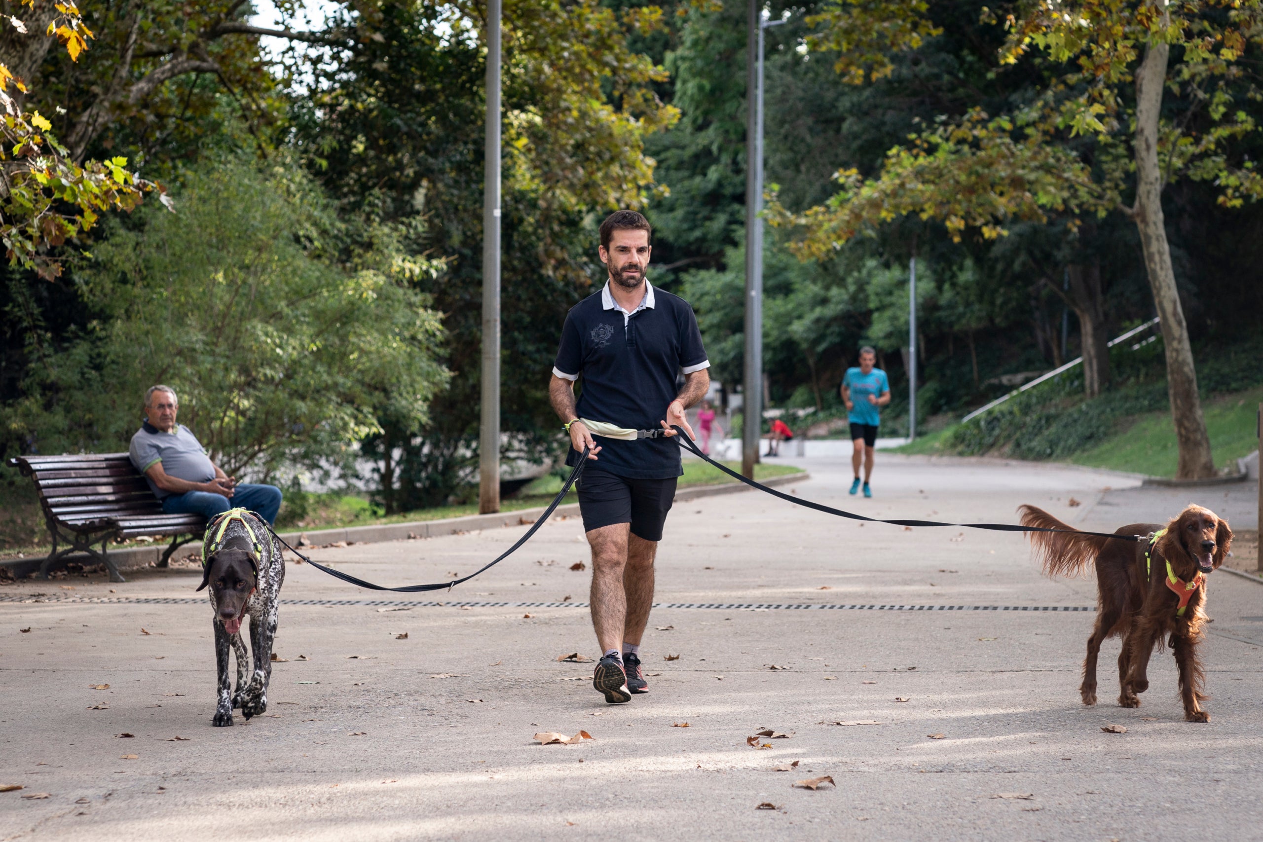 Terrassa compta amb gairebé 20.000 animals de companyia censats entre gossos, gats i fures, el que es tradueix en cada una de cada onze persones és propietària d'un animal, aproximadament. Cada persona està obligada a censar a l’ajuntament per poder fer un recompte i control de la població d’animals. Els gossos son els animals domèstics que més abunden a Terrassa (un 72,5%), sent la majoria de raça indefinida. Els gats representen un 27,3%, mentre que les fures un 0,2%.