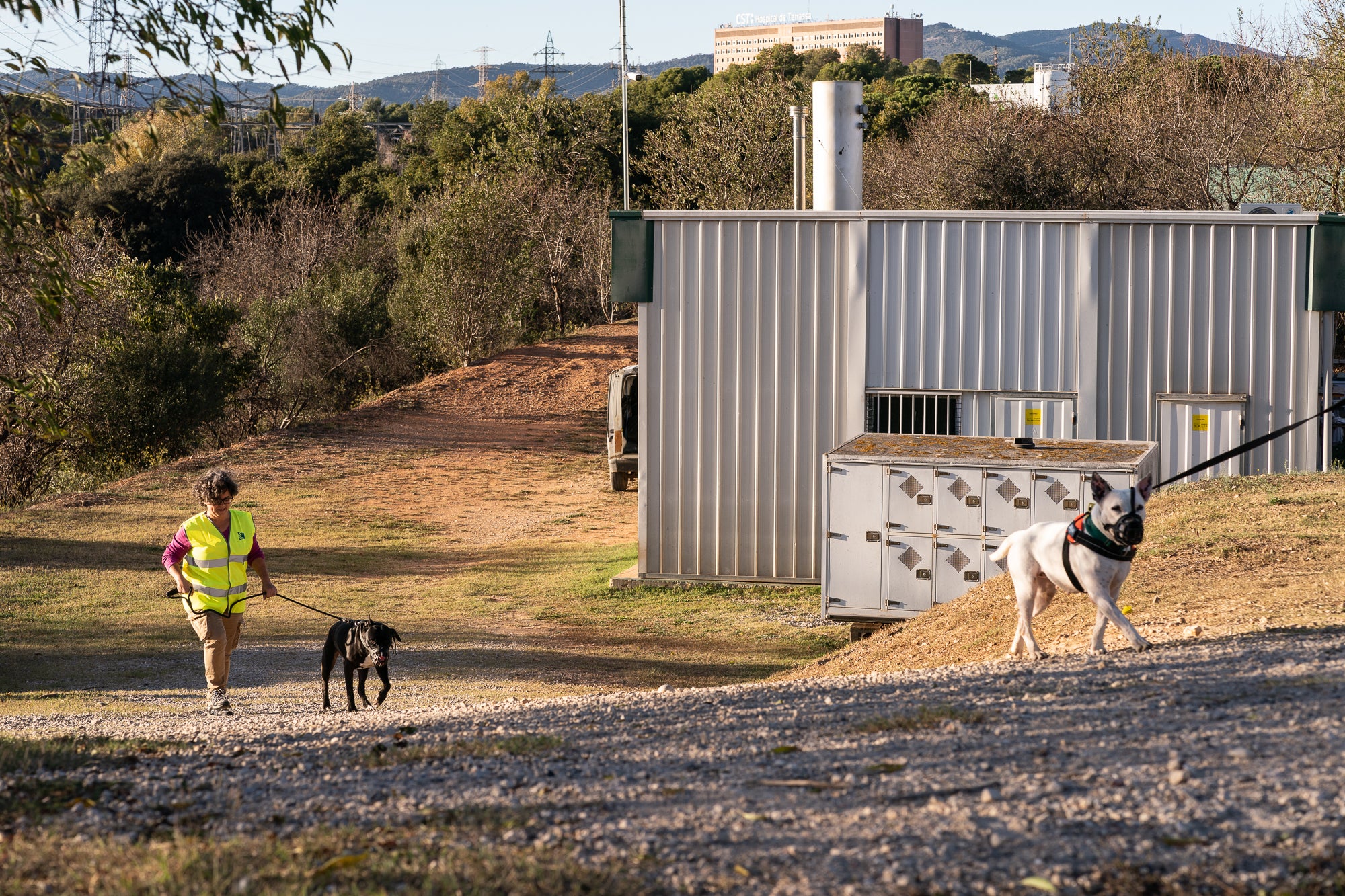 El Centre d'Adopció d'Animals Domèstics (CAAD) de Terrassa | Mireia Comas