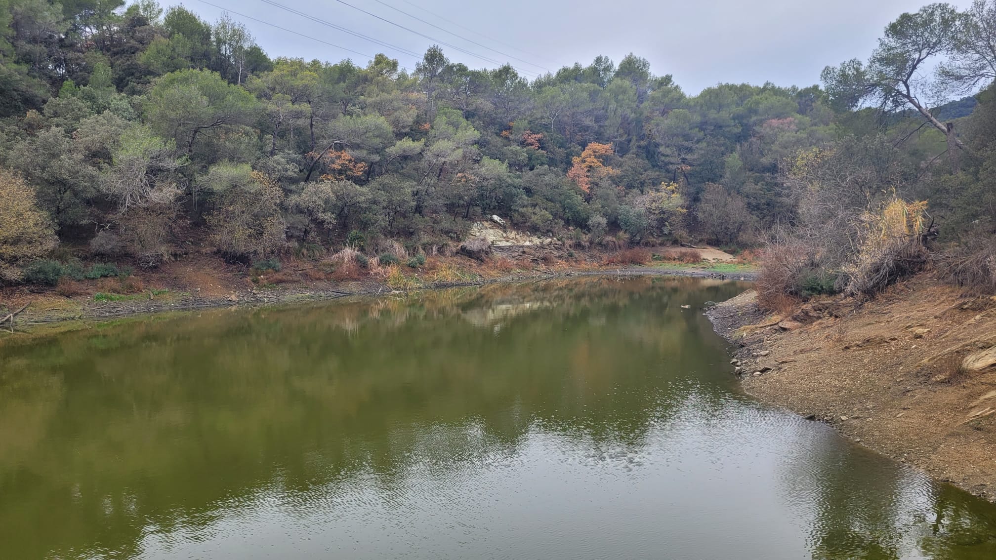 El Llac Petit de Terrassa, més petit que mai/Marc Malgosa