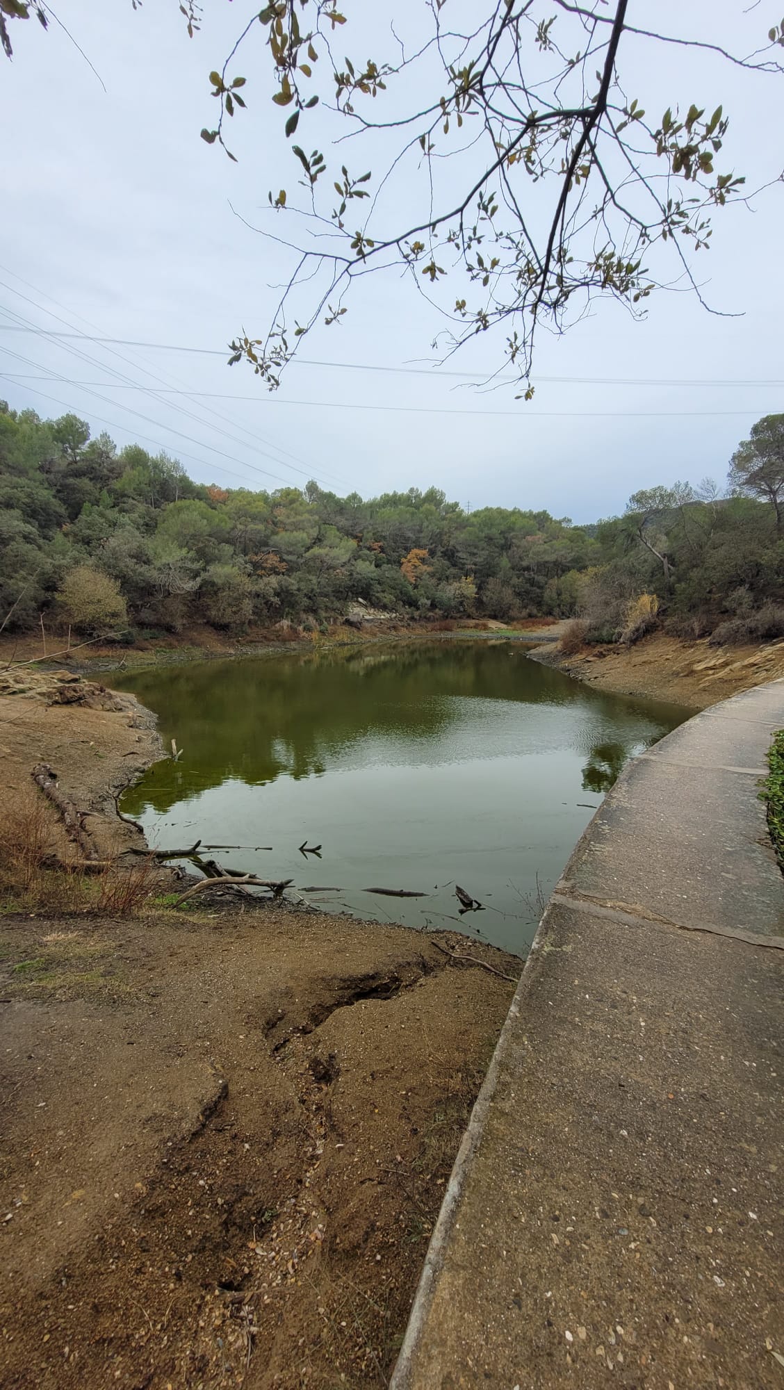 El Llac Petit de Terrassa, més petit que mai/Marc Malgosa
