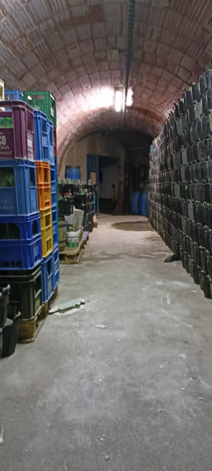 Ullastrell celebra la 11a Fira de l'Oli i l'Oliva, on mostra productes de la terra, com vi produït i emmagatzemat al municipi