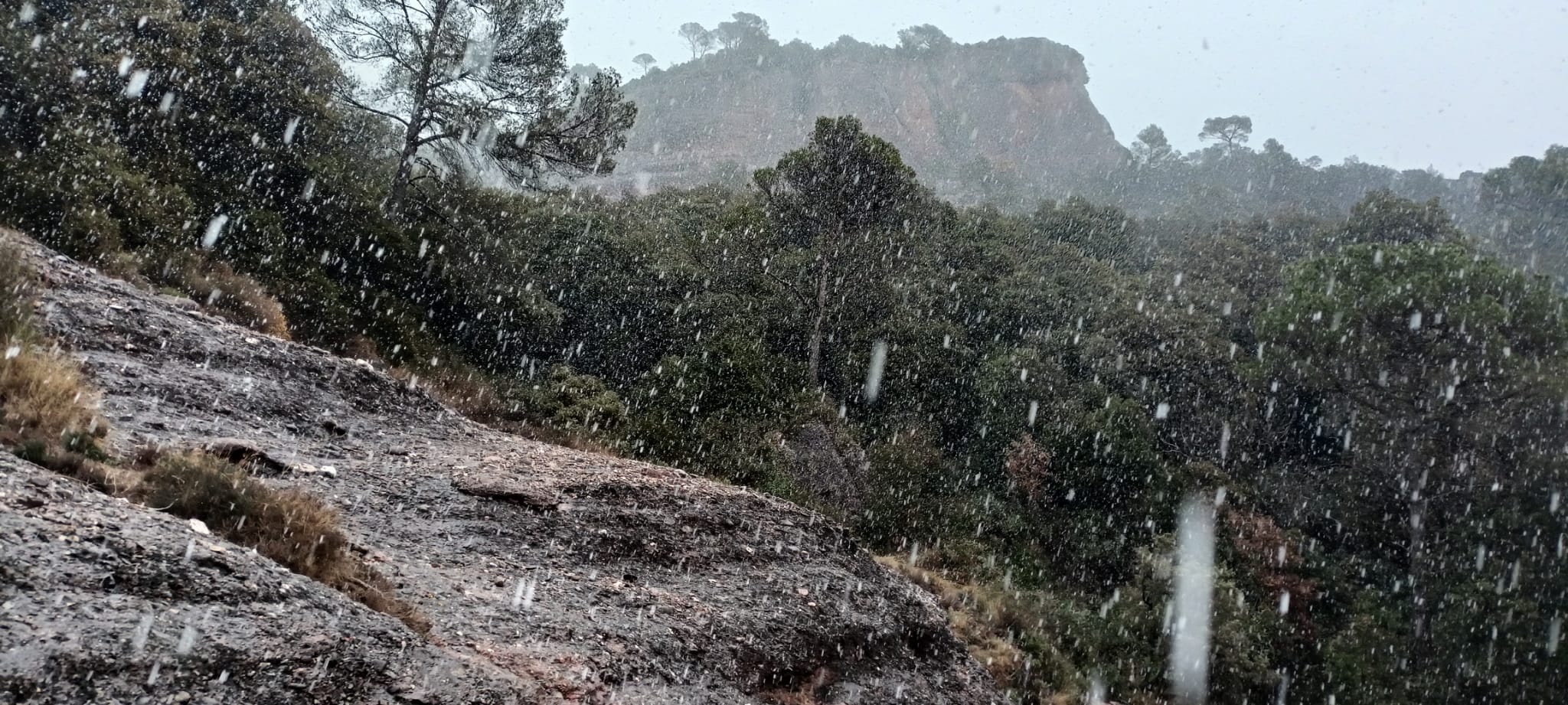 Aquest dimarts 7 de febrer de 2023, La Mola gaudeix de la segona nevada de l’any. La neu ha deixat emblanquinada la muntanya de la mateixa manera que ho va fer fa dues setmanes.