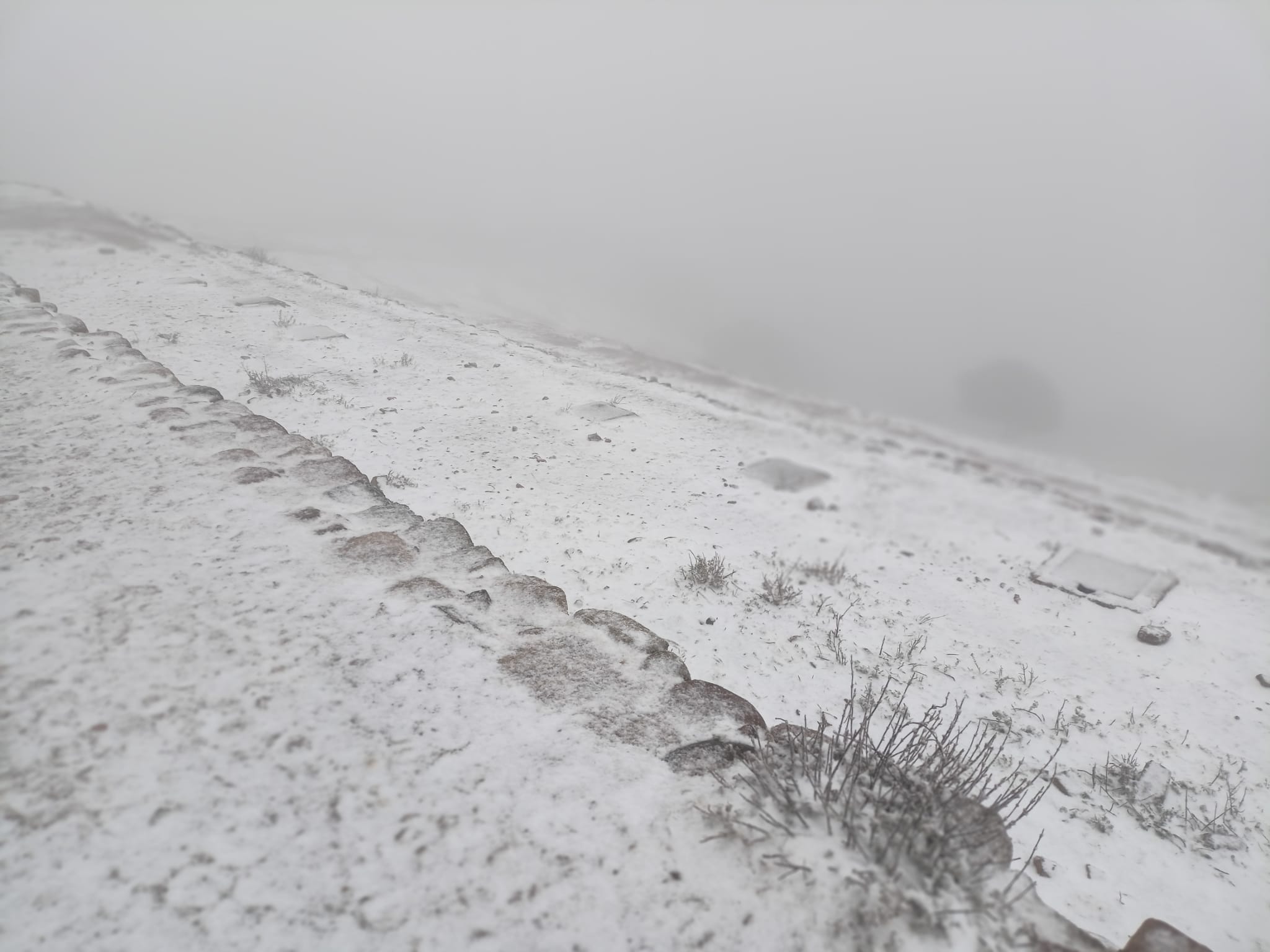 Aquest dimarts 7 de febrer de 2023, La Mola gaudeix de la segona nevada de l’any. La neu ha deixat emblanquinada la muntanya de la mateixa manera que ho va fer fa dues setmanes.