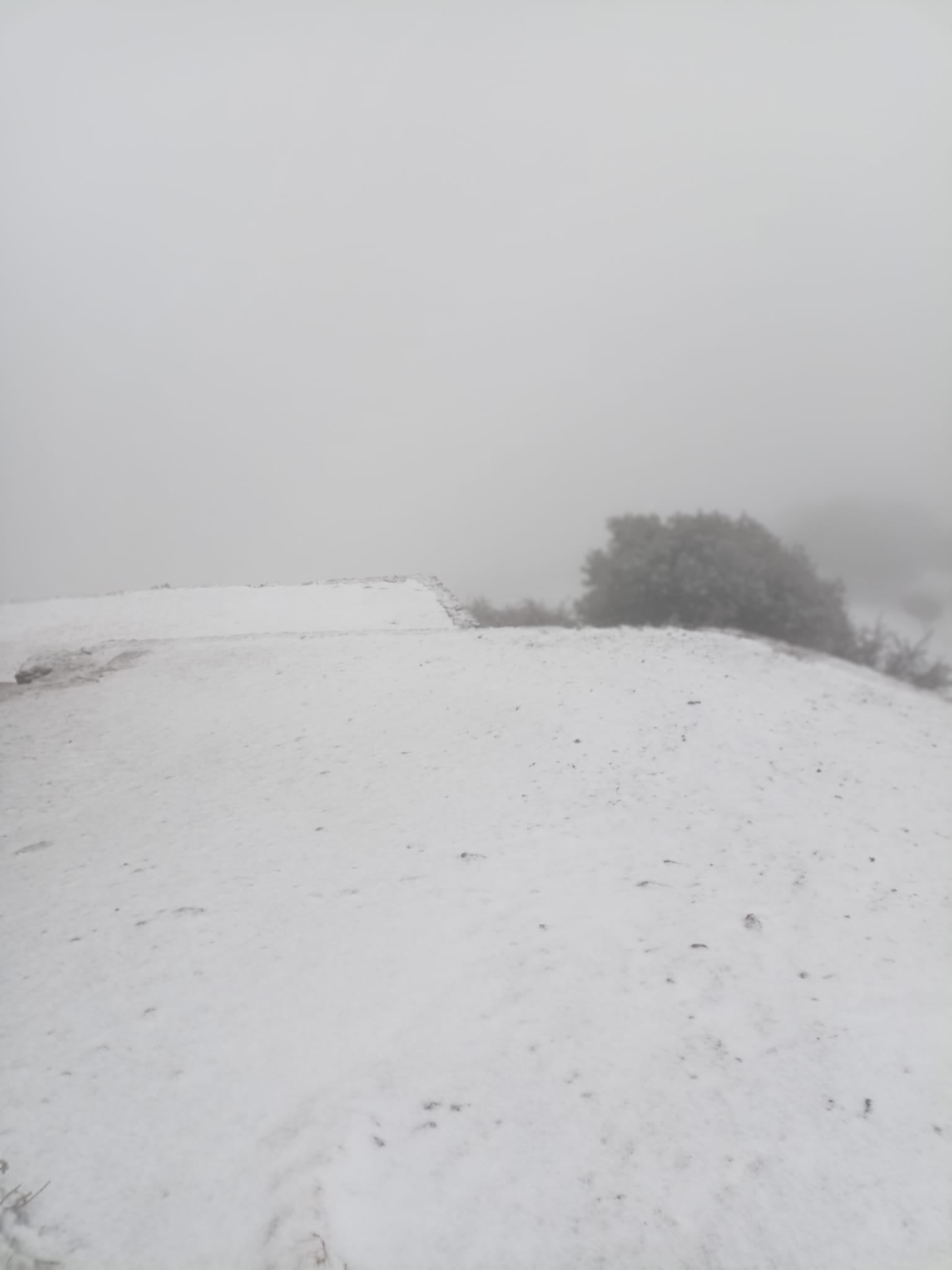 Aquest dimarts 7 de febrer de 2023, La Mola gaudeix de la segona nevada de l’any. La neu ha deixat emblanquinada la muntanya de la mateixa manera que ho va fer fa dues setmanes.