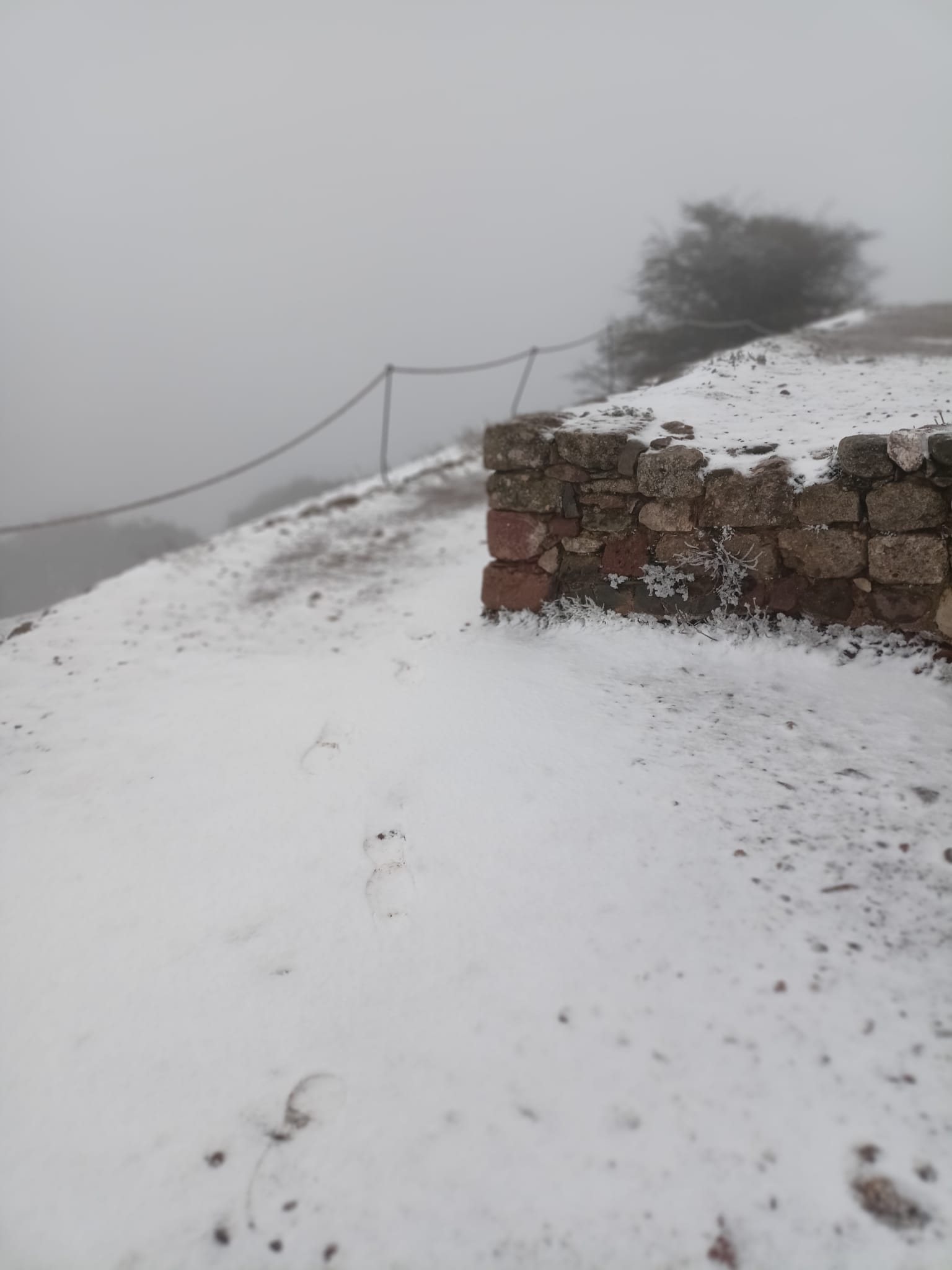 Aquest dimarts 7 de febrer de 2023, La Mola gaudeix de la segona nevada de l’any. La neu ha deixat emblanquinada la muntanya de la mateixa manera que ho va fer fa dues setmanes.
