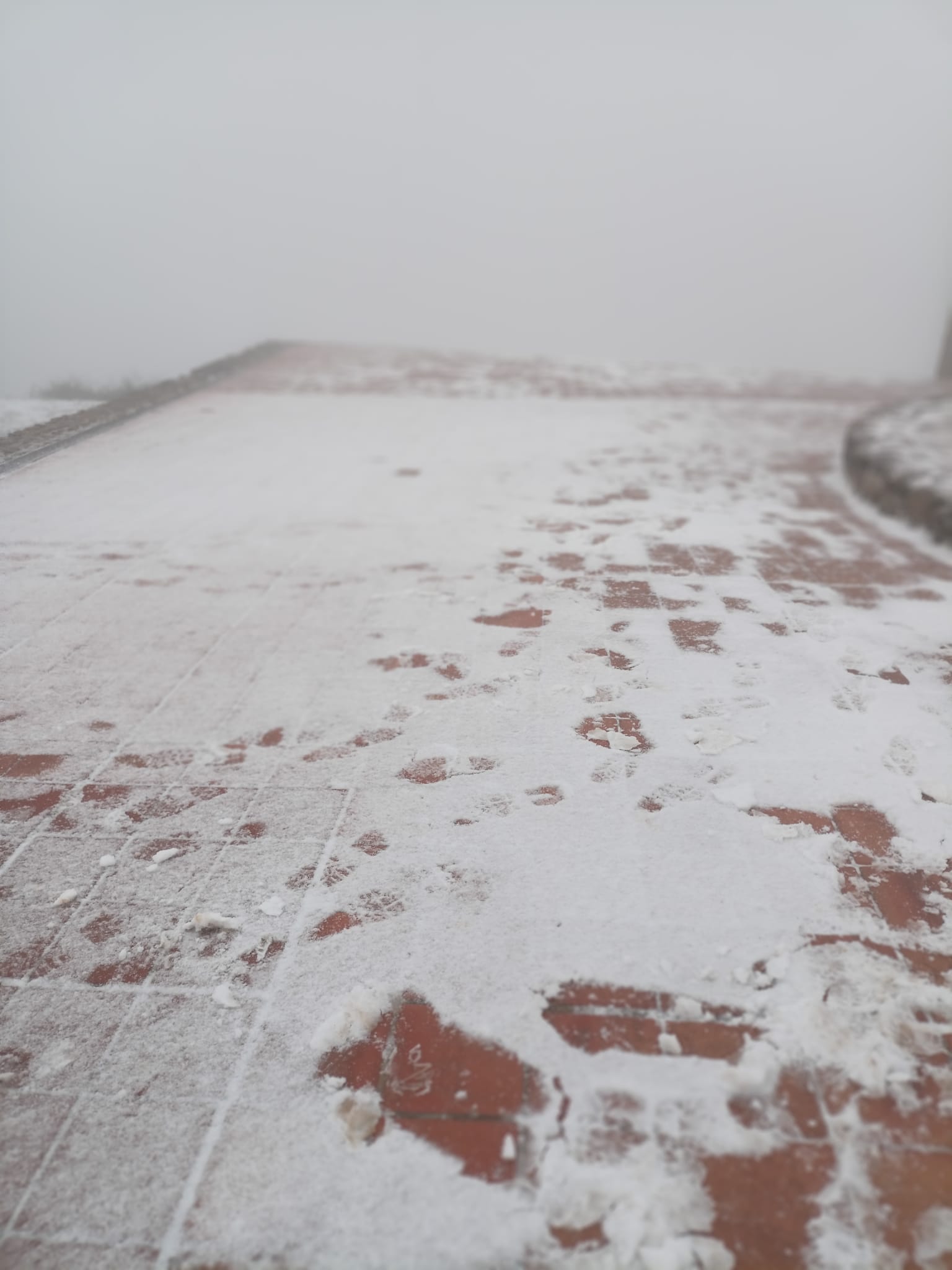 Aquest dimarts 7 de febrer de 2023, La Mola gaudeix de la segona nevada de l’any. La neu ha deixat emblanquinada la muntanya de la mateixa manera que ho va fer fa dues setmanes.