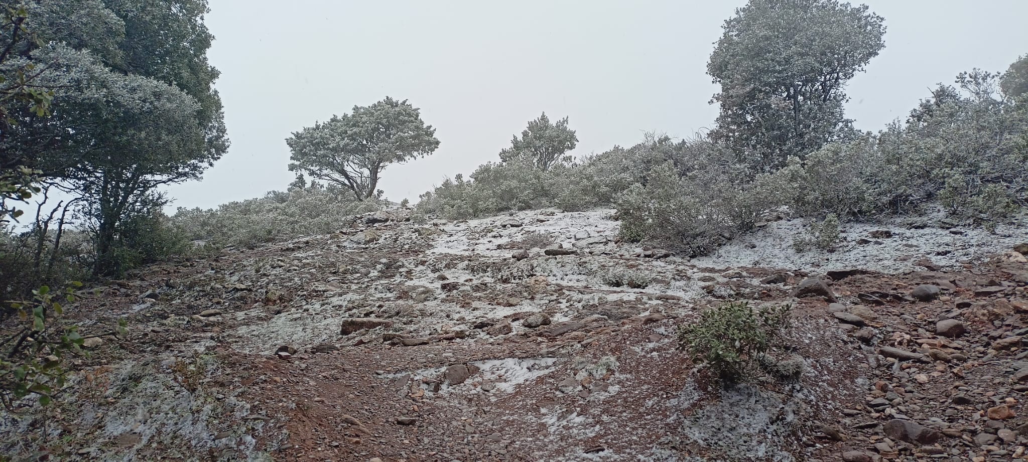 Aquest dimarts 7 de febrer de 2023, La Mola gaudeix de la segona nevada de l’any. La neu ha deixat emblanquinada la muntanya de la mateixa manera que ho va fer fa dues setmanes.