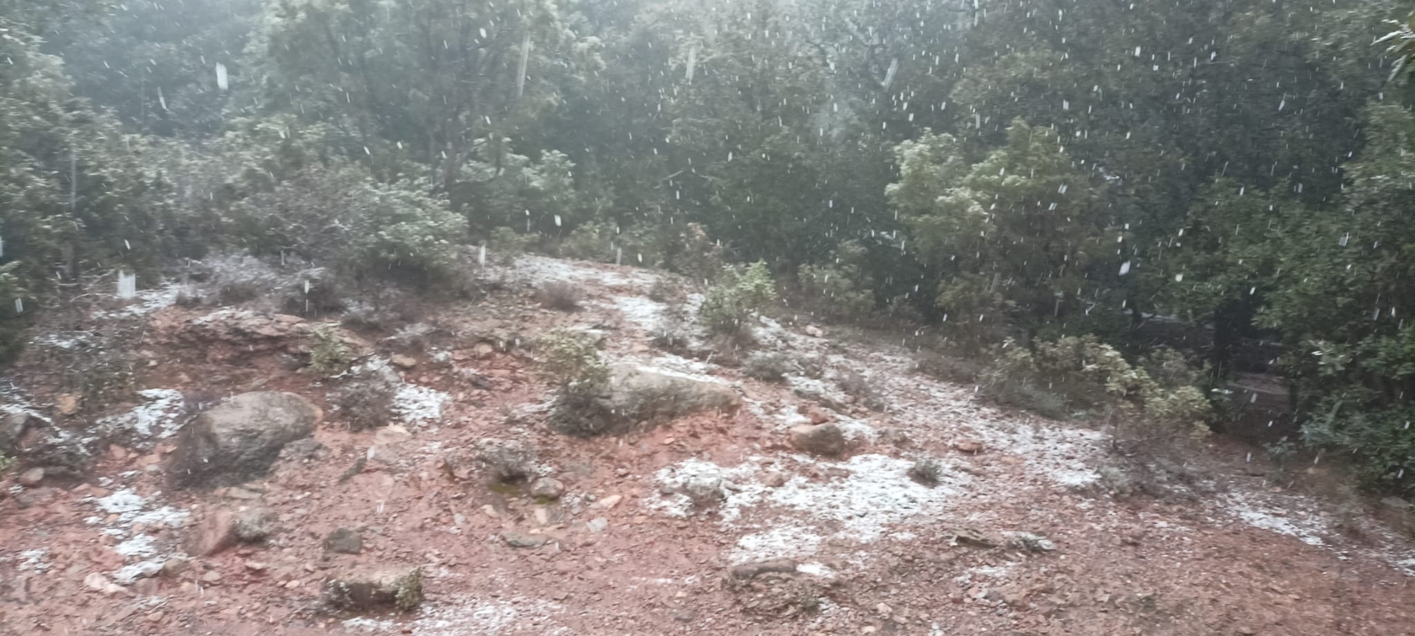 Aquest dimarts 7 de febrer de 2023, La Mola gaudeix de la segona nevada de l’any. La neu ha deixat emblanquinada la muntanya de la mateixa manera que ho va fer fa dues setmanes.