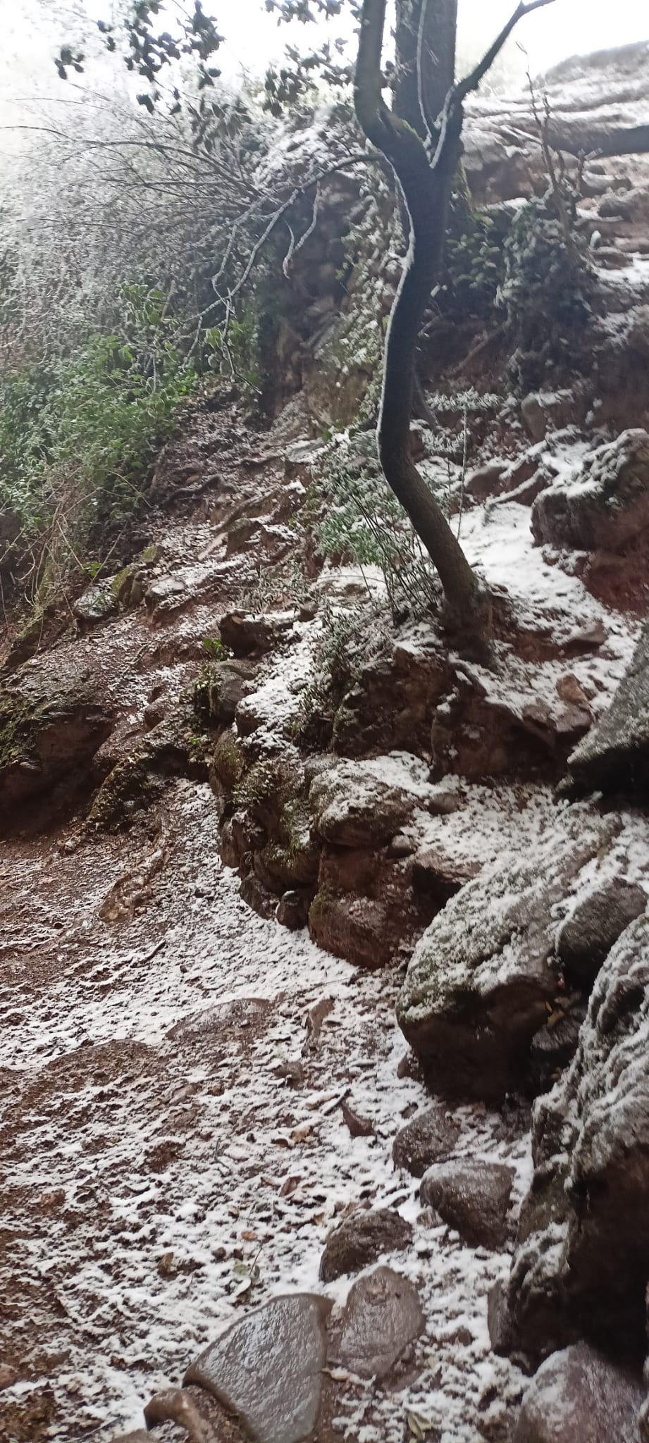 Aquest dimarts 7 de febrer de 2023, La Mola gaudeix de la segona nevada de l’any. La neu ha deixat emblanquinada la muntanya de la mateixa manera que ho va fer fa dues setmanes.