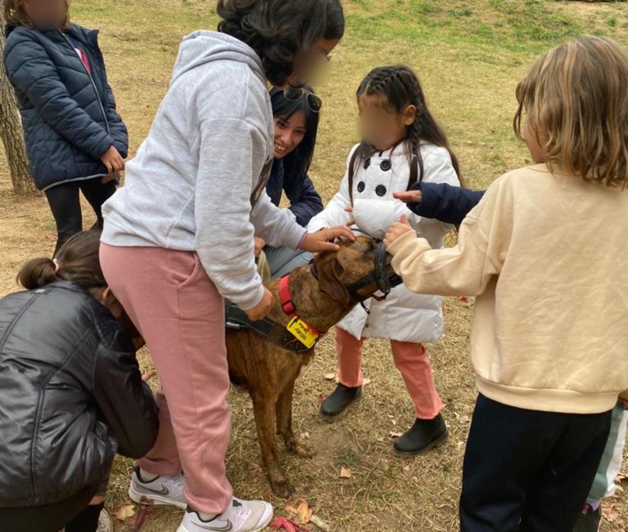 L'Ajuntament de Terrassa i l'escola Roc Alabern signen un conveni de col·laboració per fomentar el benestar i els drets dels animals des de les escoles | Roc Alabern