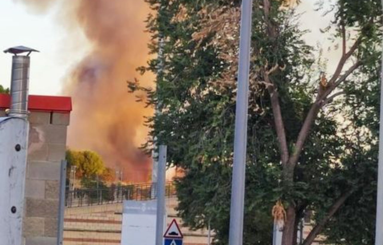 Incendi de vegetació a l'avinguda Tèxtil de Terrassa | Lourdes López