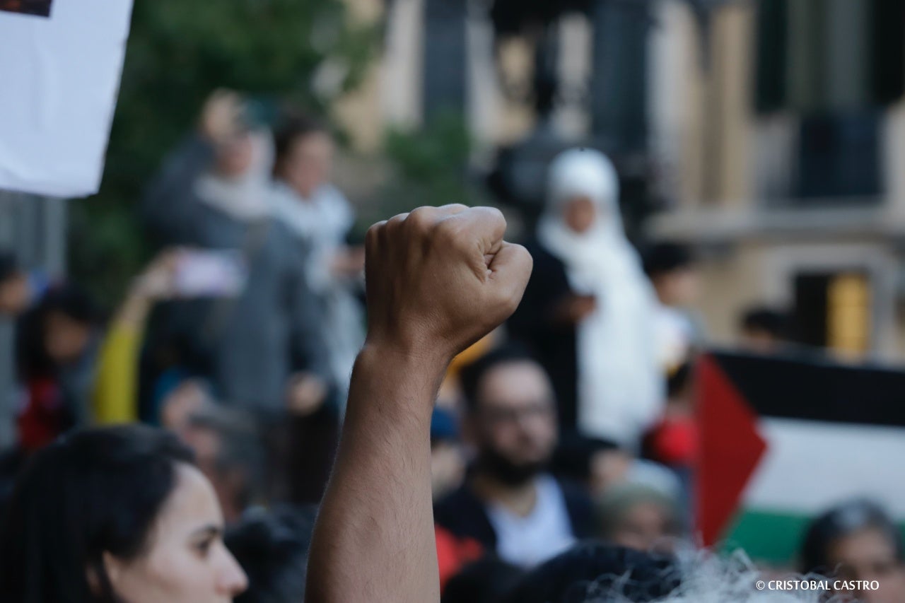 Terrassencs i terrassenques s'han mobilitzat a favor del poble palestí i 'contra l’apartheid, la guerra i el genocidi' que s'està duent a terme a Palestina per part del govern d'Israel