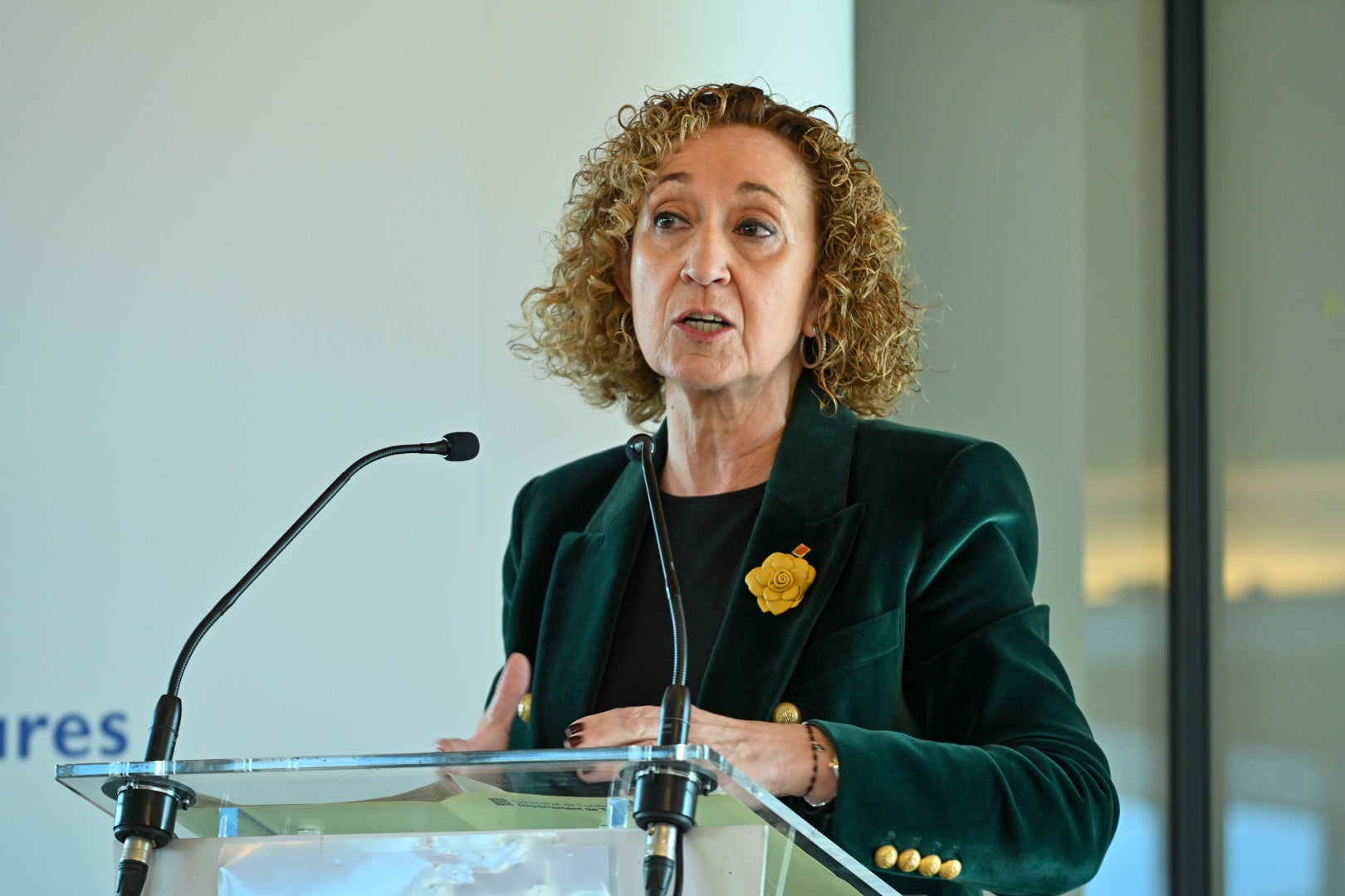 La consellera de Territori, Ester Capella i Farré | Gencat