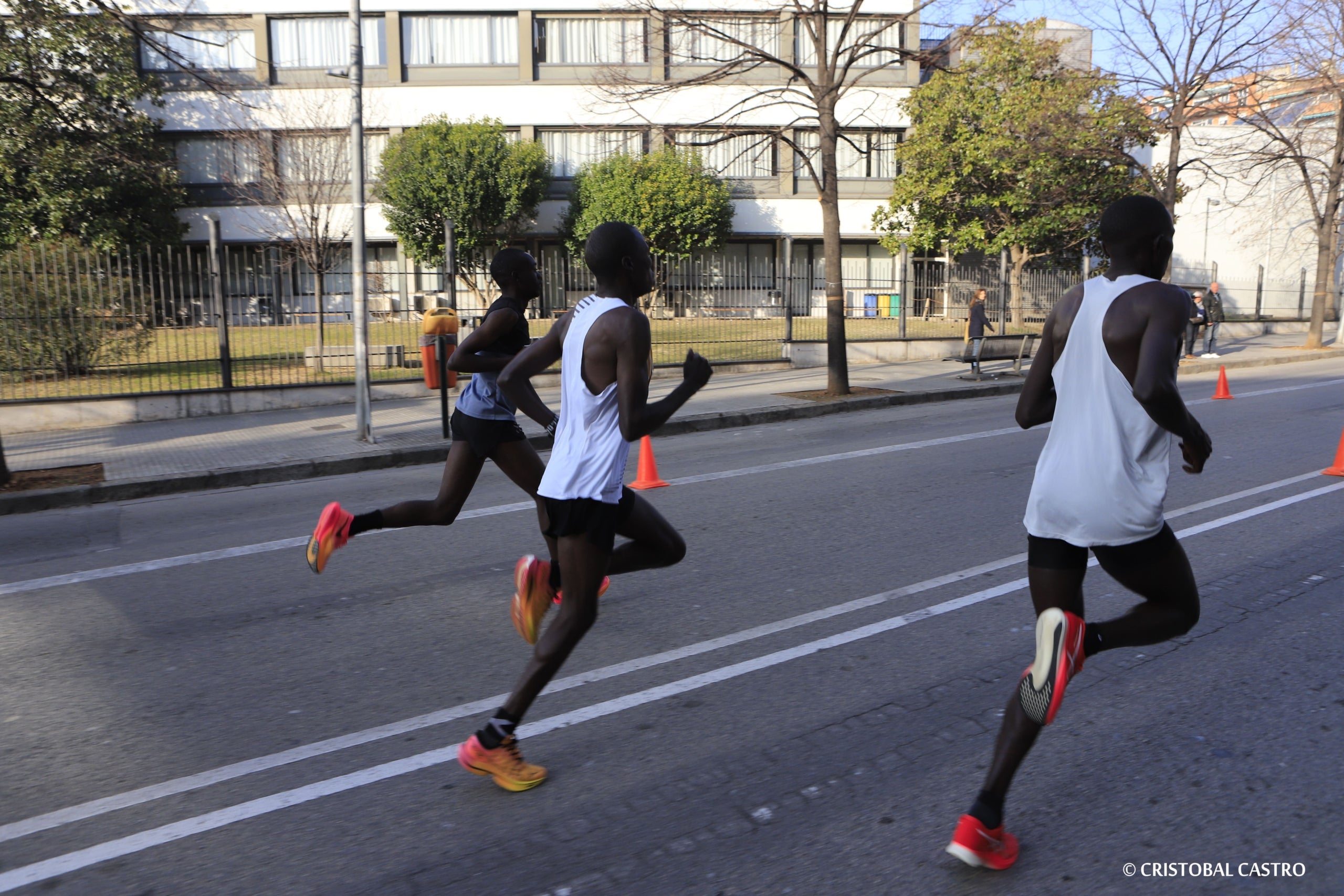 Sense sorpreses en la Mitja Marató de Terrassa 2024. La victòria se l’han endut dos dels corredores africans que amb més bones sensacions arribaven. Mike Kiptum Boit i Nancy Chepleting han estat els guanyadors de la 24a edició d’una cursa que ha comptat amb prop de 2.600 participants (si sumem també els de la 18a edició de la Cursa Santi Centelles), procedents d’una catorzena de països diferents. Tant en categoria masculina com en la femenina s'ha batut la marca registrada, establint un nou rècord.